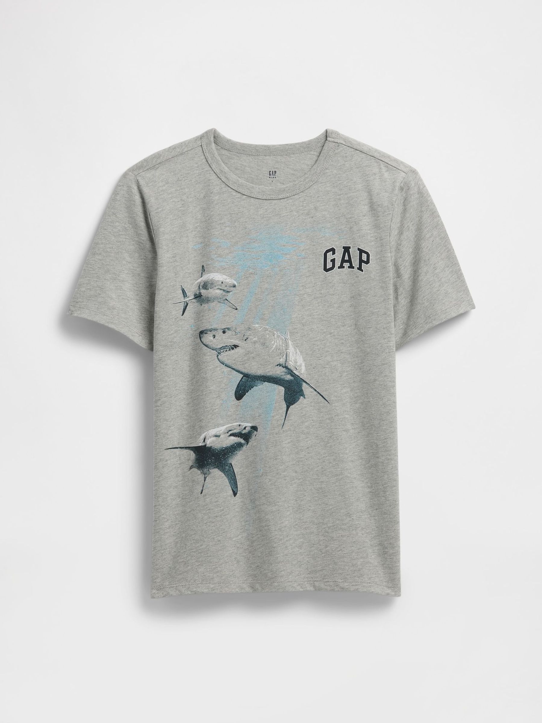 Grey Vintage Graphic T-Shirt (4-13yrs) (W28362) | £10