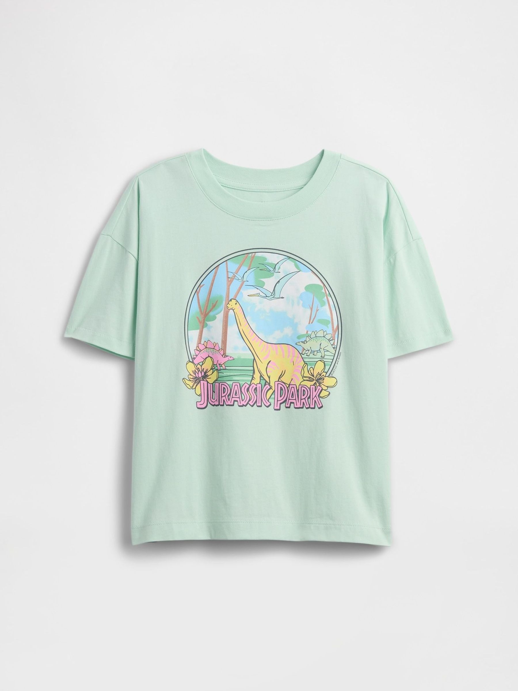 Light Green Jurassic Park Graphic Short Sleeve T-Shirt (4-13yrs) (W28488) | £30