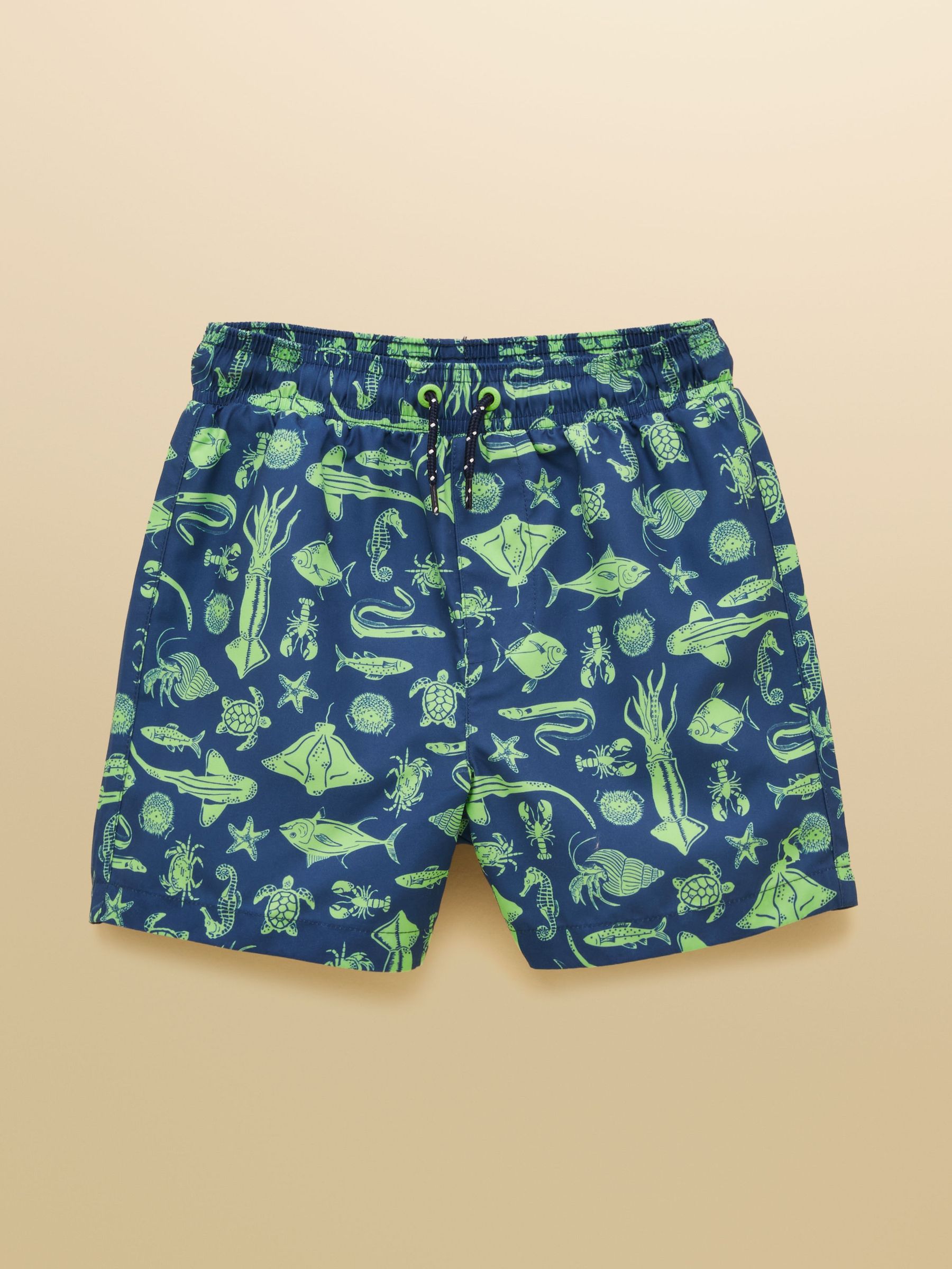 Boys' Blue Printed Swim Shorts (W38112) | £15 - £17