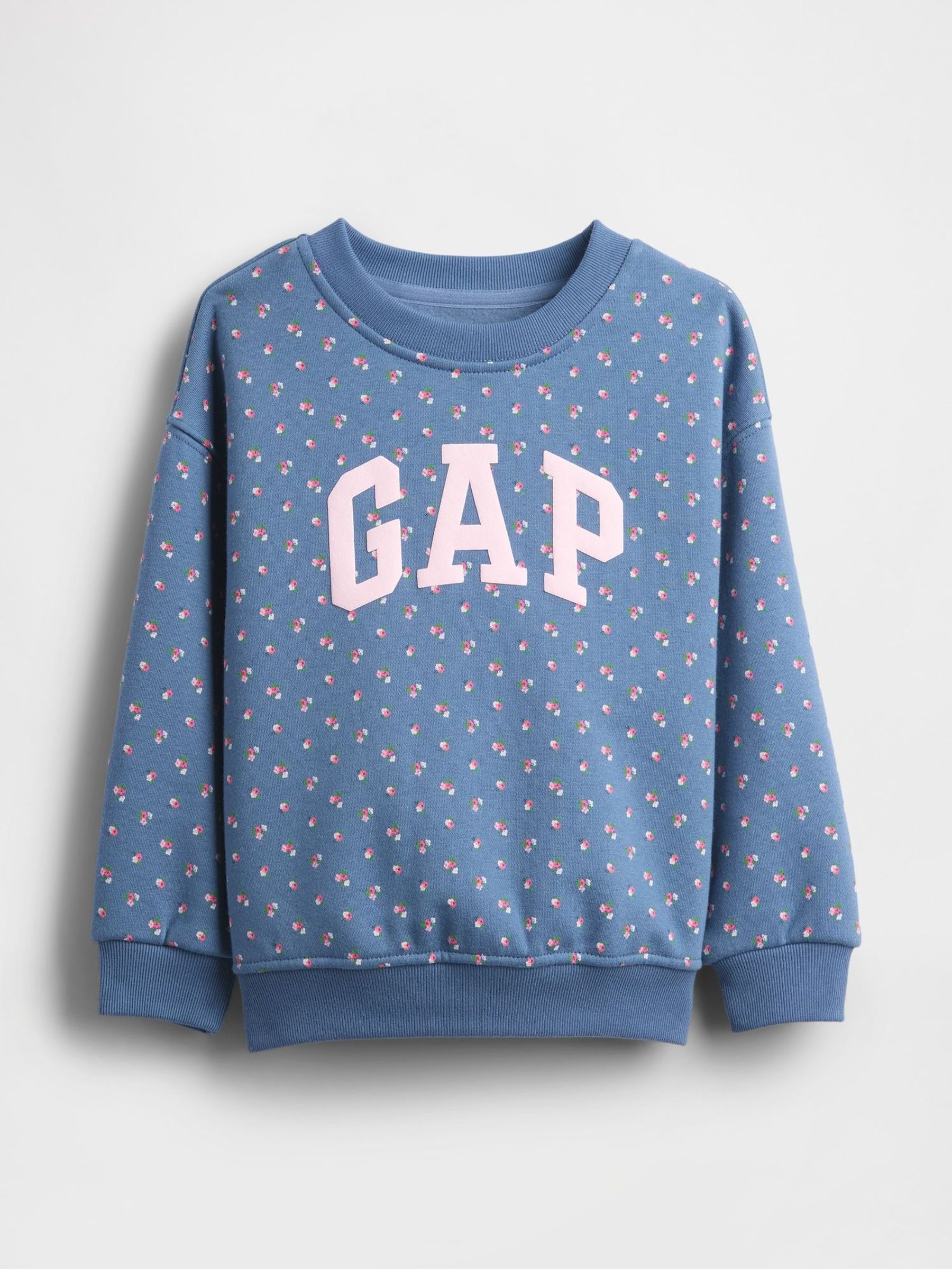 Blue Vintage Soft Logo Sweatshirt (6mths-5yrs) (W76725) | £18