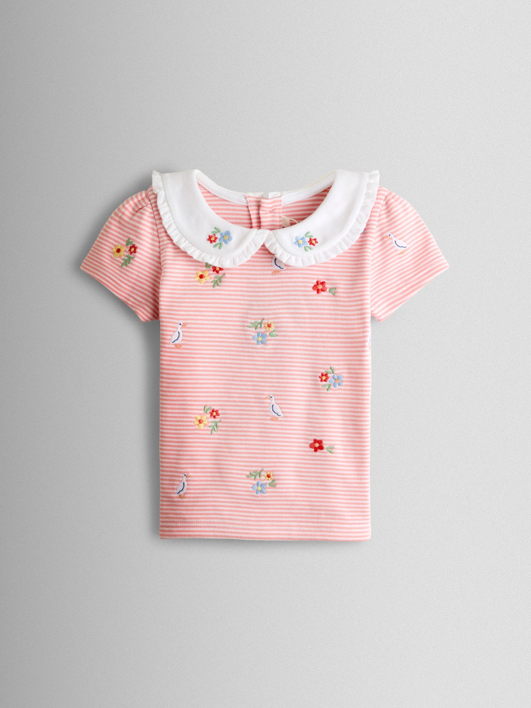 Orange T-Shirt (Y24391) | £15 - £18