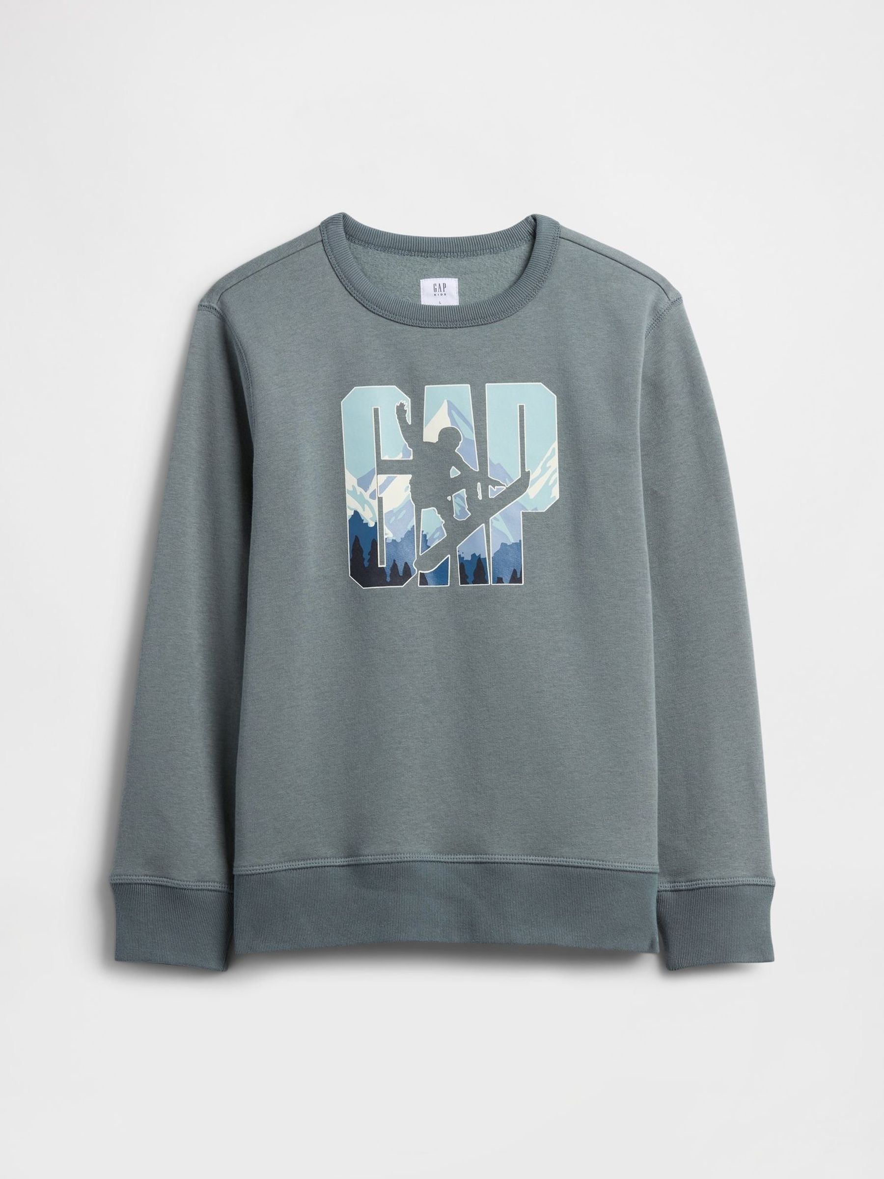Grey Crew Neck Graphic Sweatshirt (4-13yrs) (Y25346) | £16
