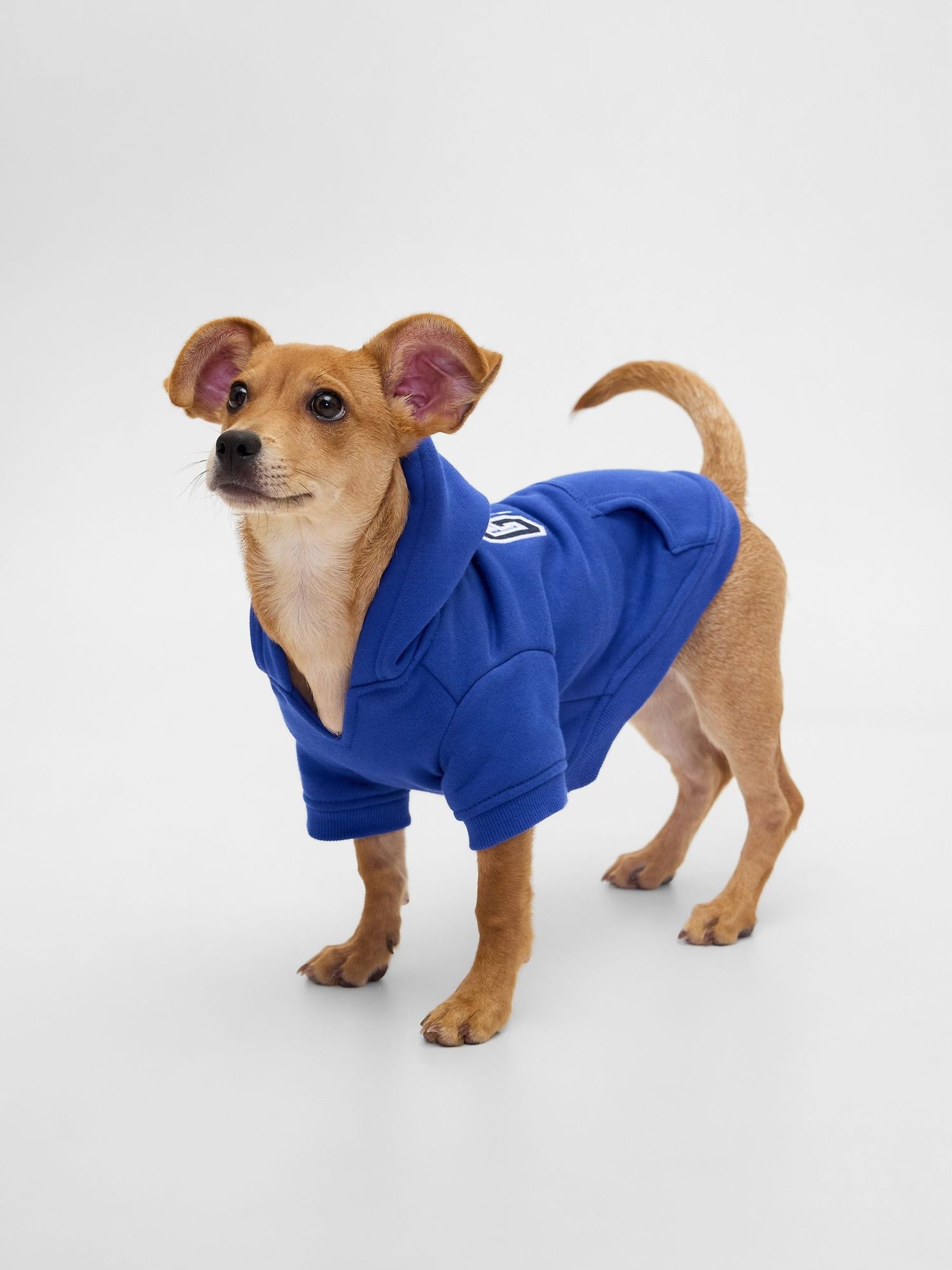Blue Logo Pet Hoodie (Y31840) | £25