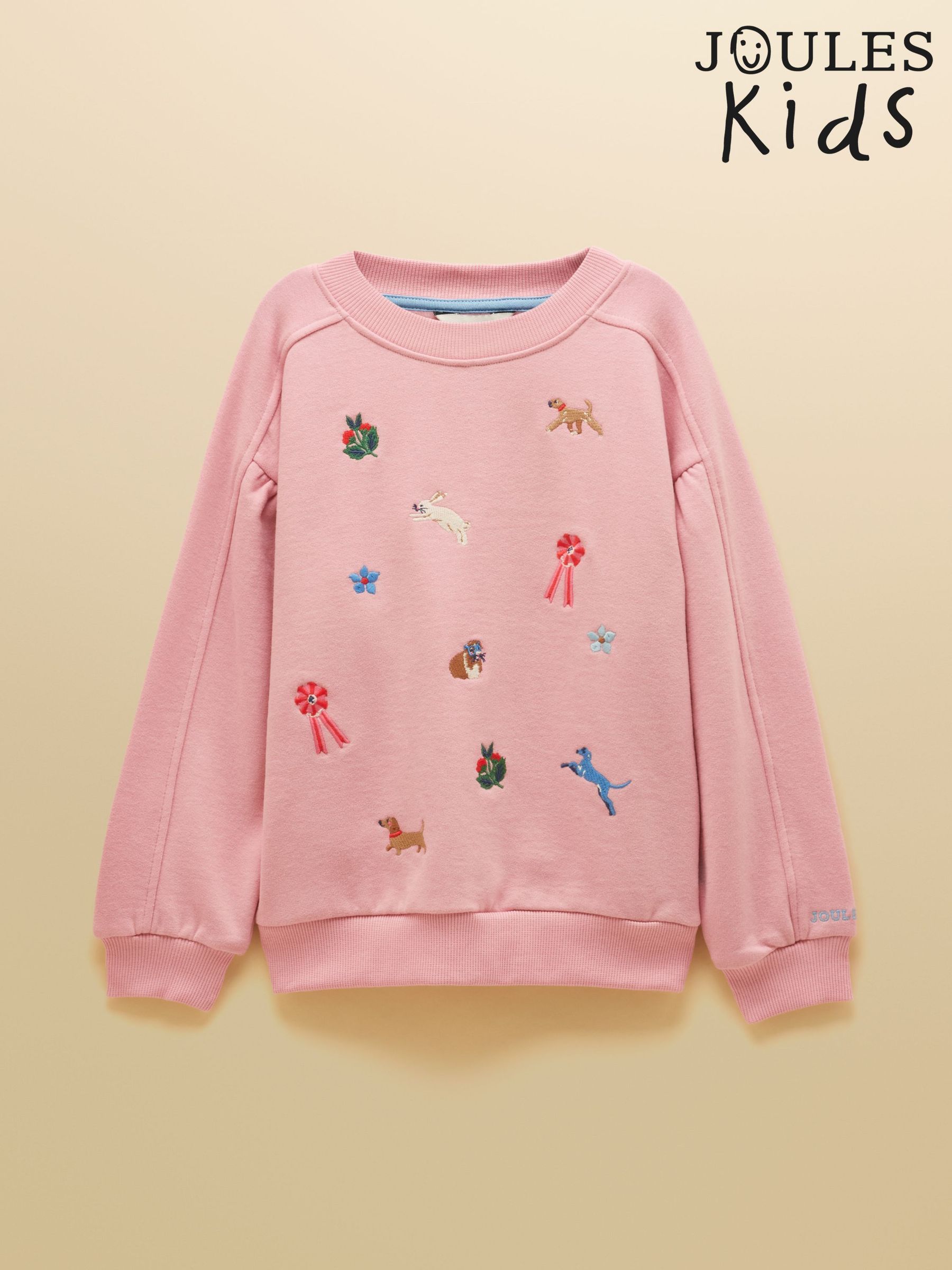 Pink Icons - Embroidered Sweatshirt