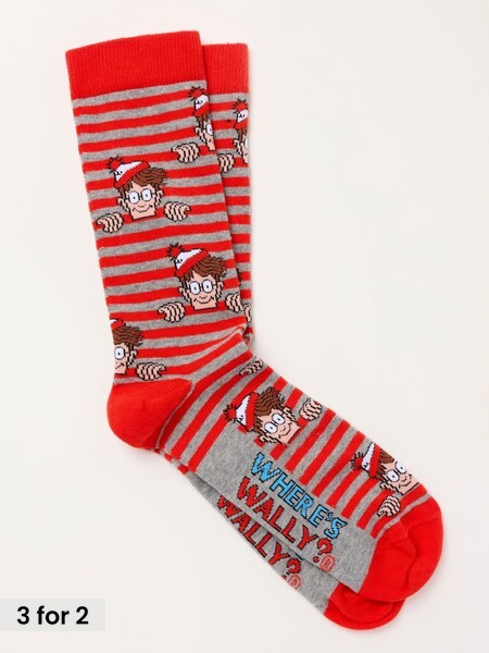 Grey - Regular Where's Wally Socks