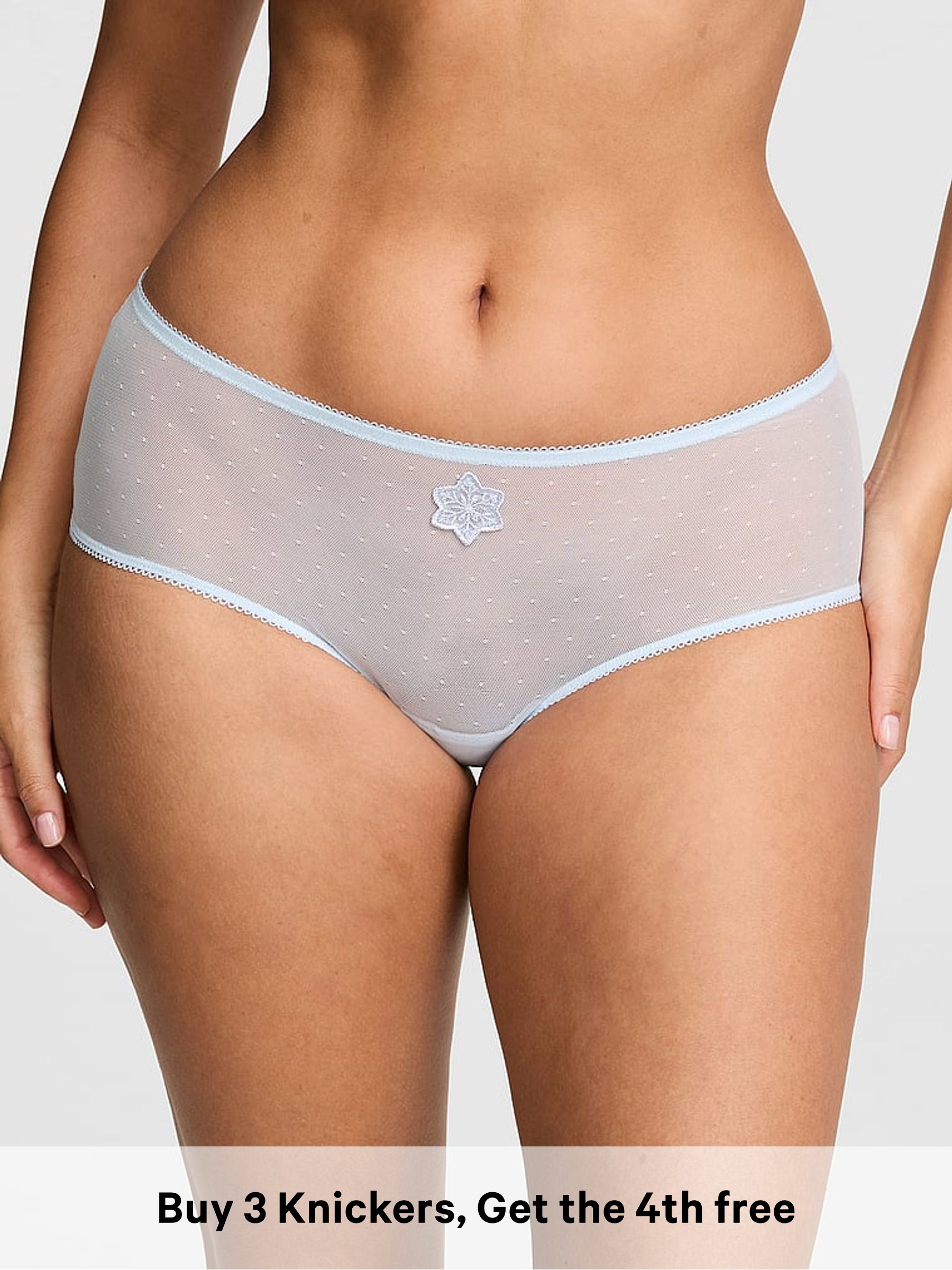 Light Blue - Bikini Snowflake Embroidery Knickers