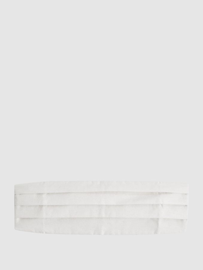 Silk Blend Pleated Cummerbund in Ecru (158549) | US$61
