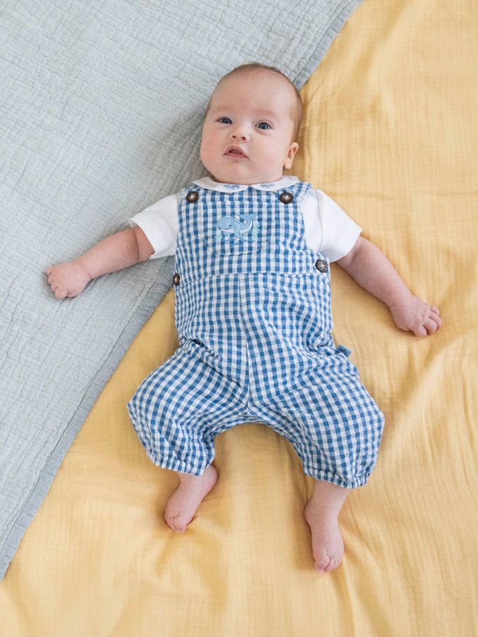 Navy 2-Piece Whale Embroidered Dungarees & Body Set (738339) | $21