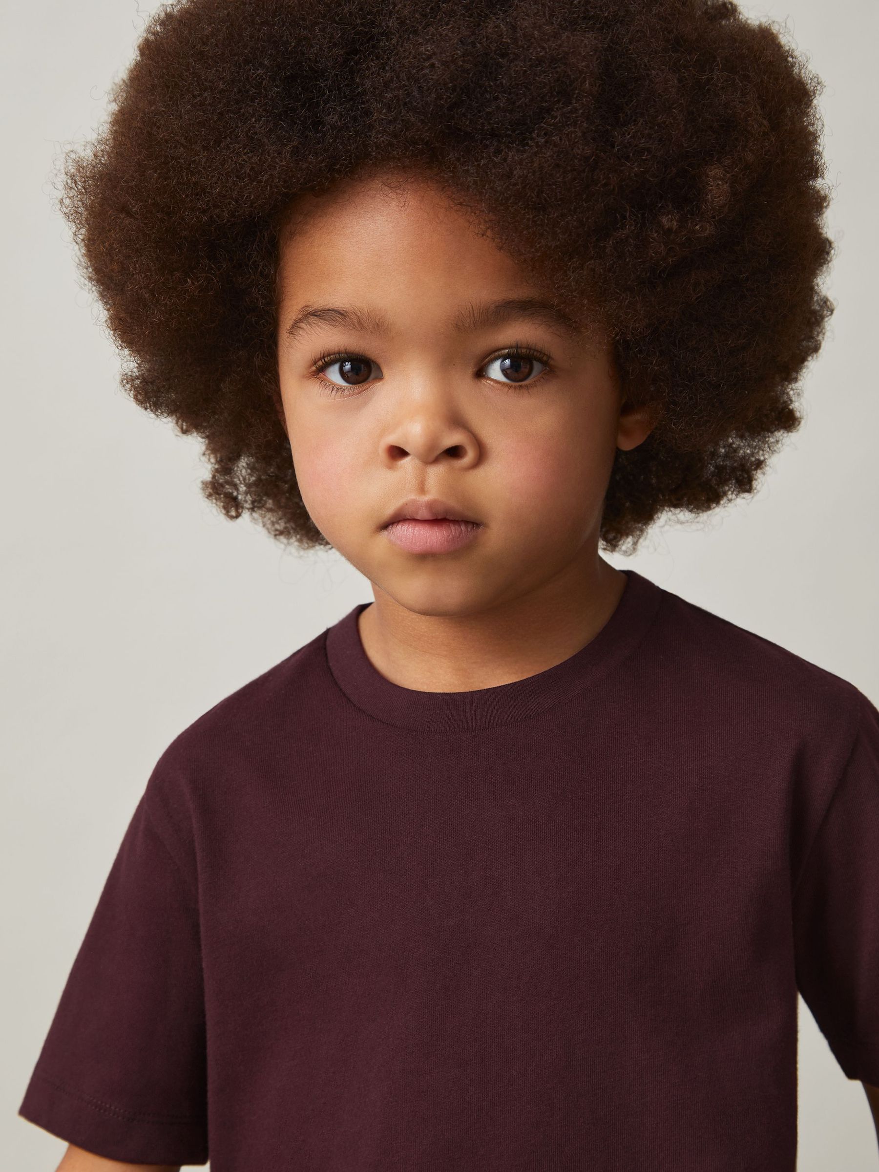 Crew Neck T-Shirt in Bordeaux (AP0244) | US$20