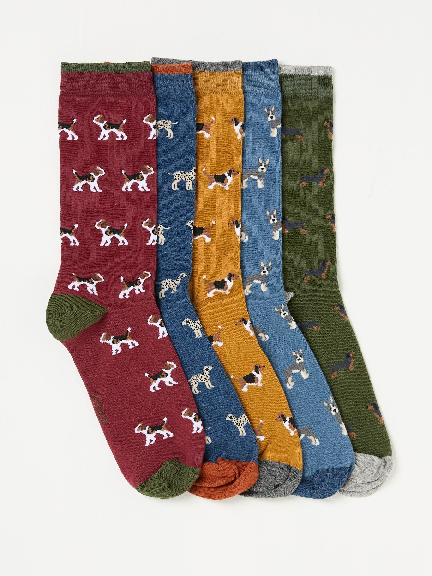 Multi 5 Pairs of Dog Socks (AP4609) | $30