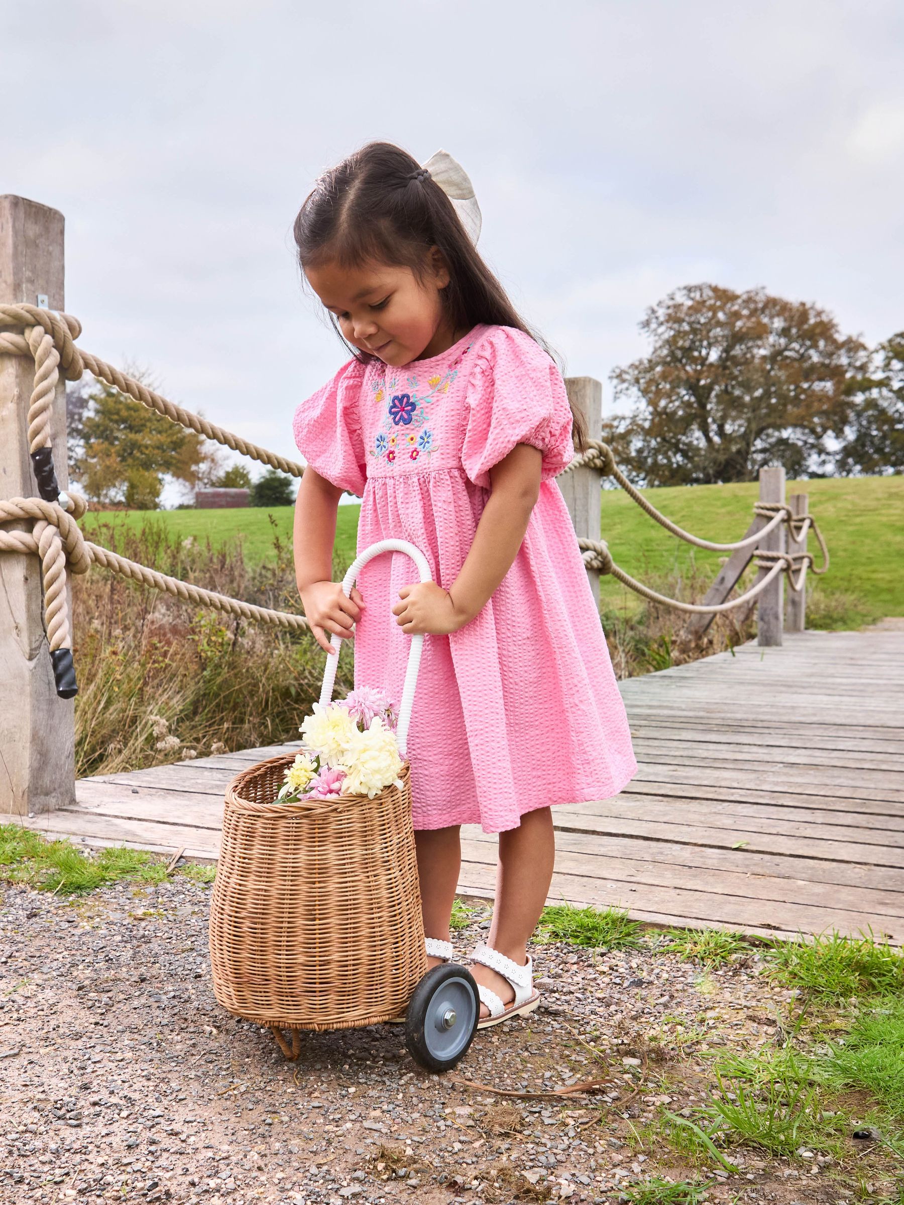 Pink Floral Embroidered Balloon Sleeve Dress (AU5621) | $41 - $46