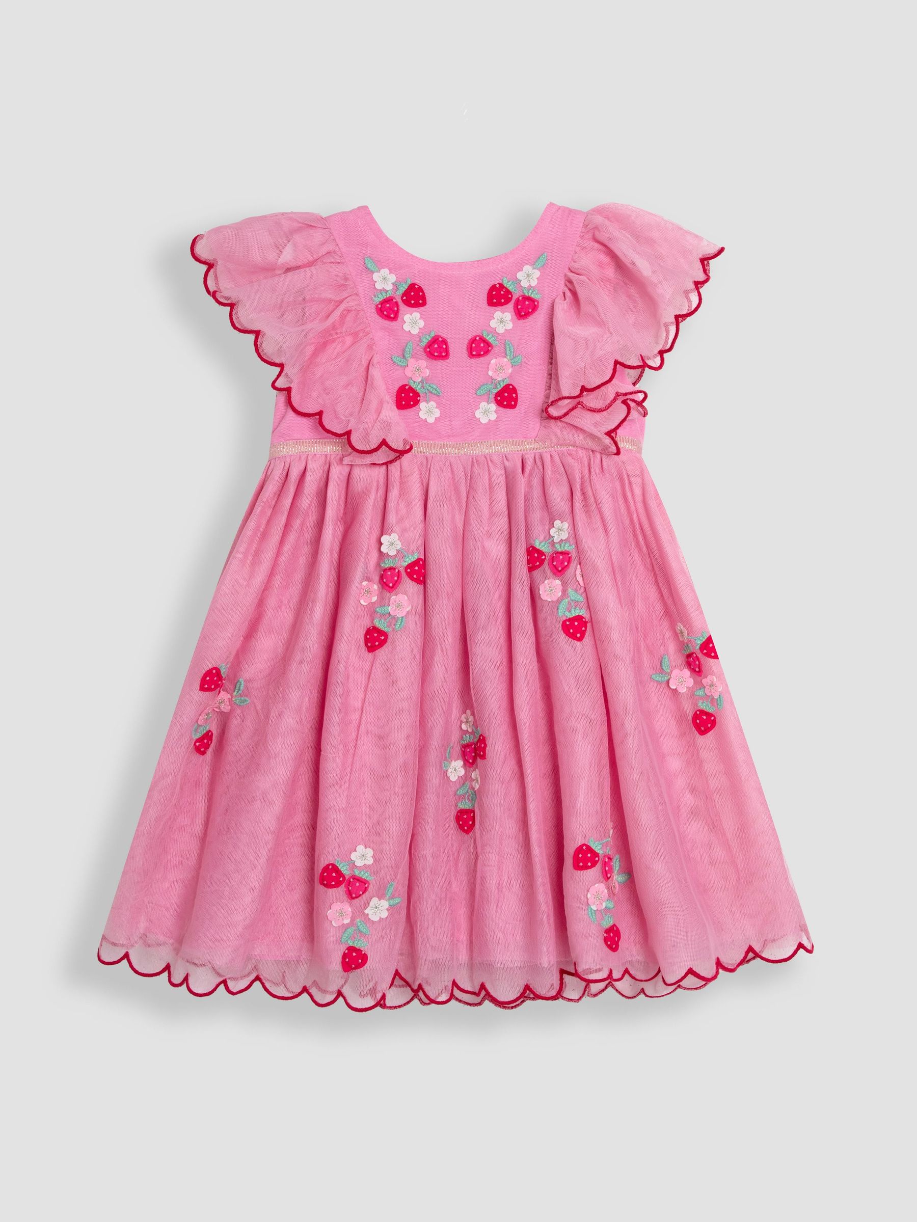 Pink Strawberry Floral Scallop Sleeve Embroidered Tulle Party Dress (AU5636) | $63 - $74