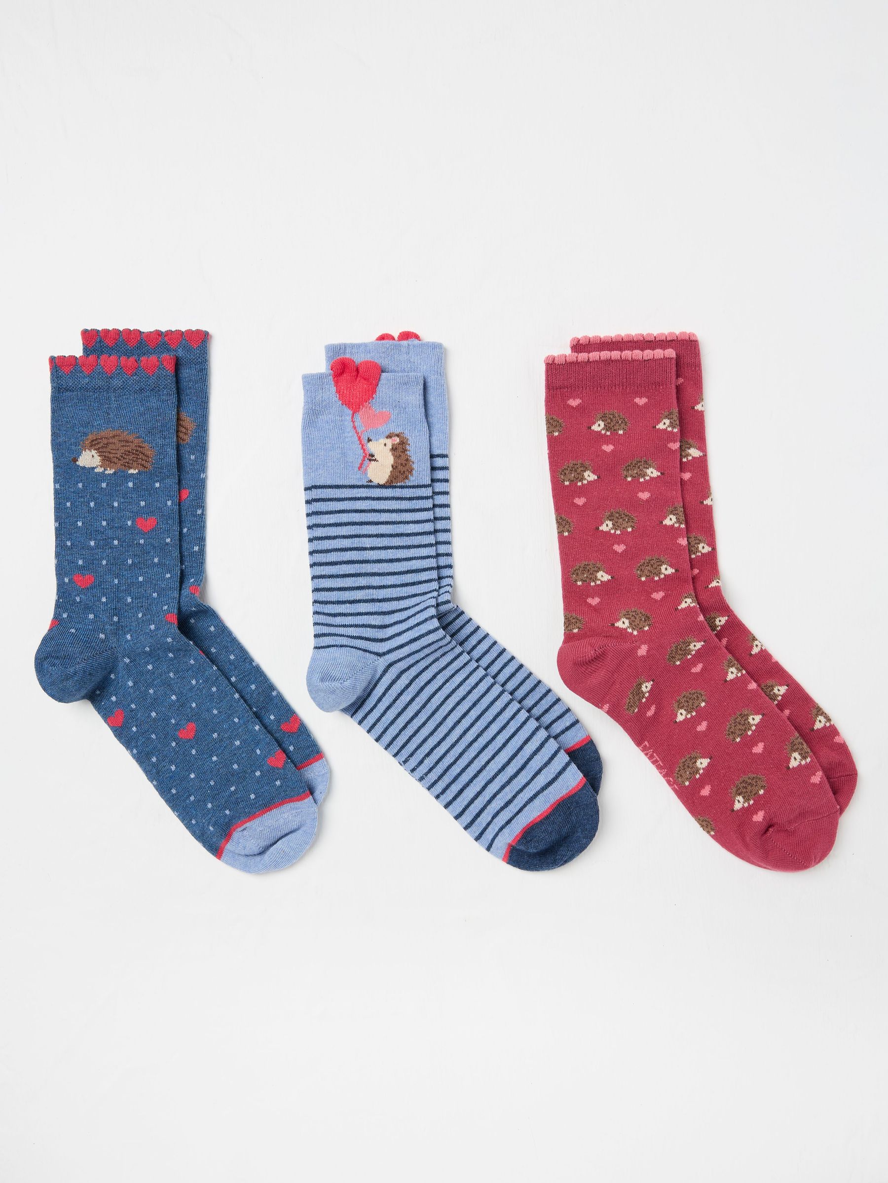 Navy Hedgehog 3 Pack Women's Socks (AY3560) | $22