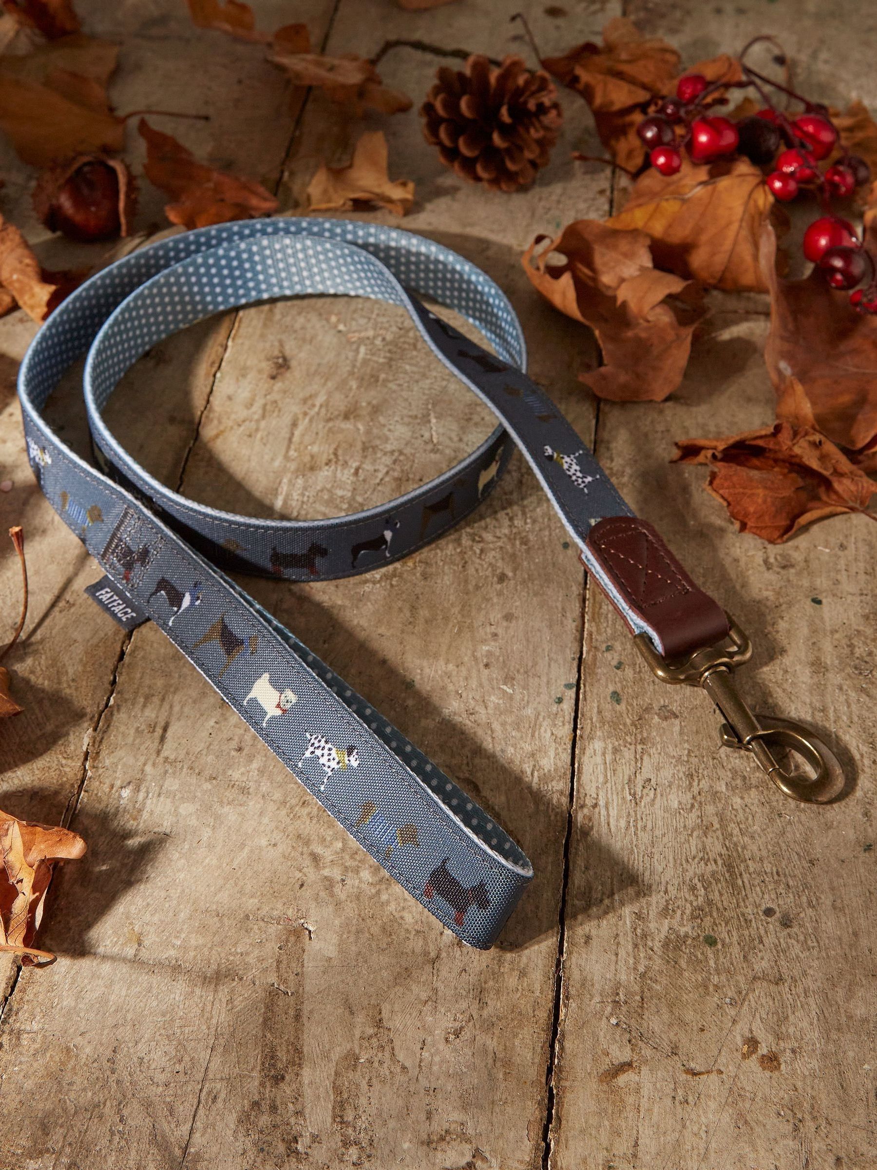 Grey Dogs Large Lead (E60298) | $24