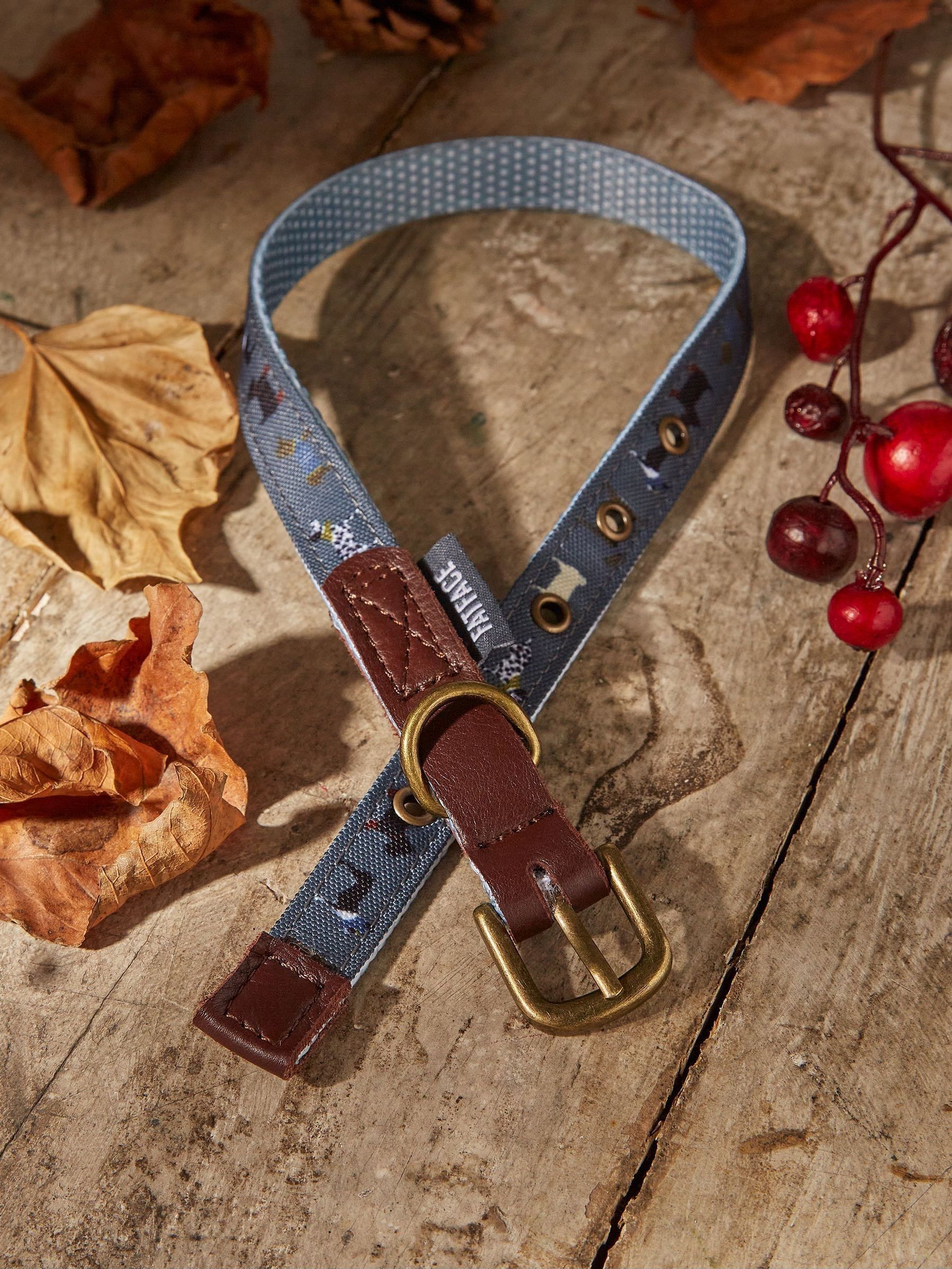 Grey Dogs Small Collar (E60358) | $16