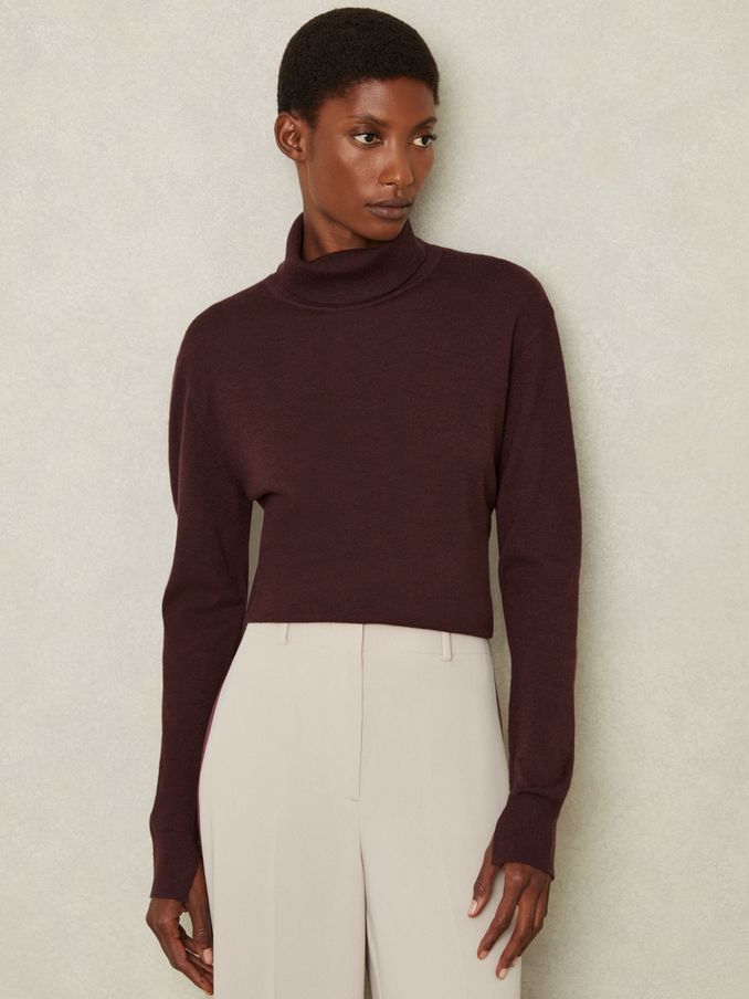 Merino Wool Roll Neck Jumper in Burgundy (E79943) | US$79