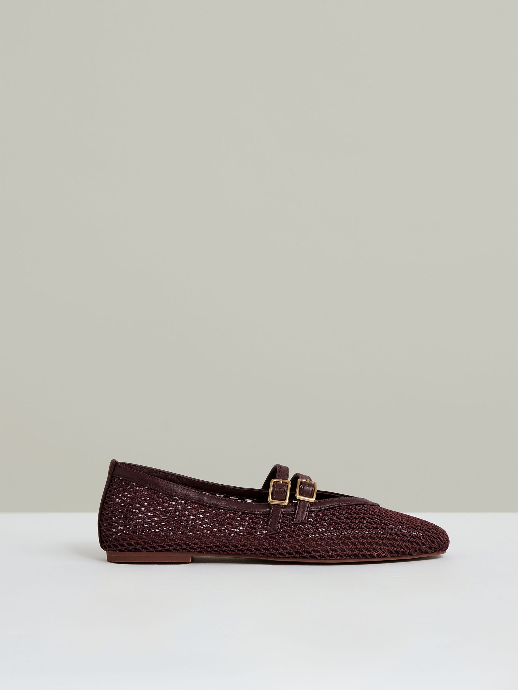 Mesh Double-Strap Ballet Flats in Oxblood (F72829) | US$265