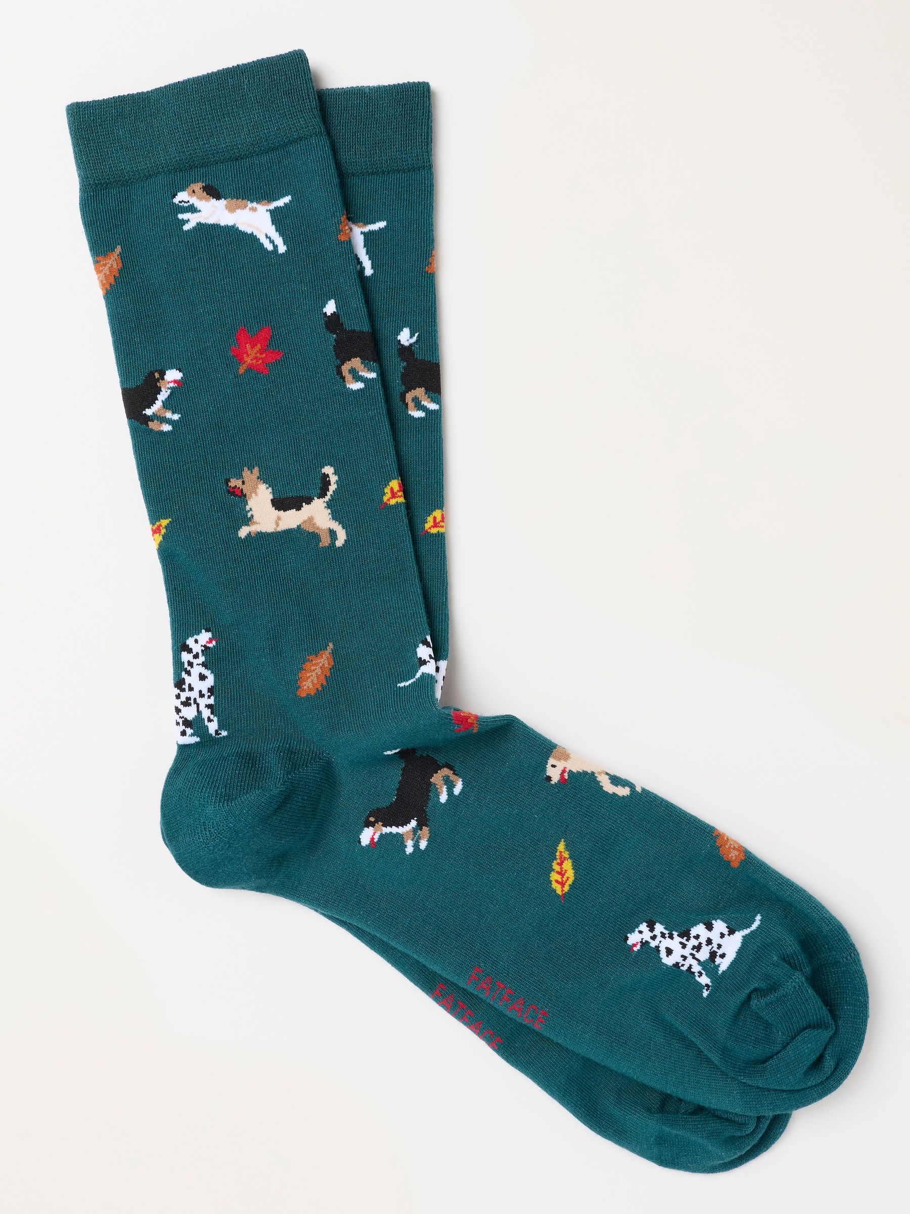 Green - Regular Dog Socks