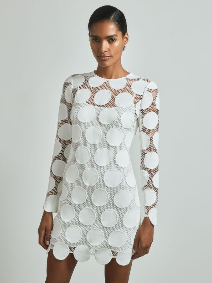 Atelier Sheer Embroidered Mini Dress in Ivory (N71802) | US$248