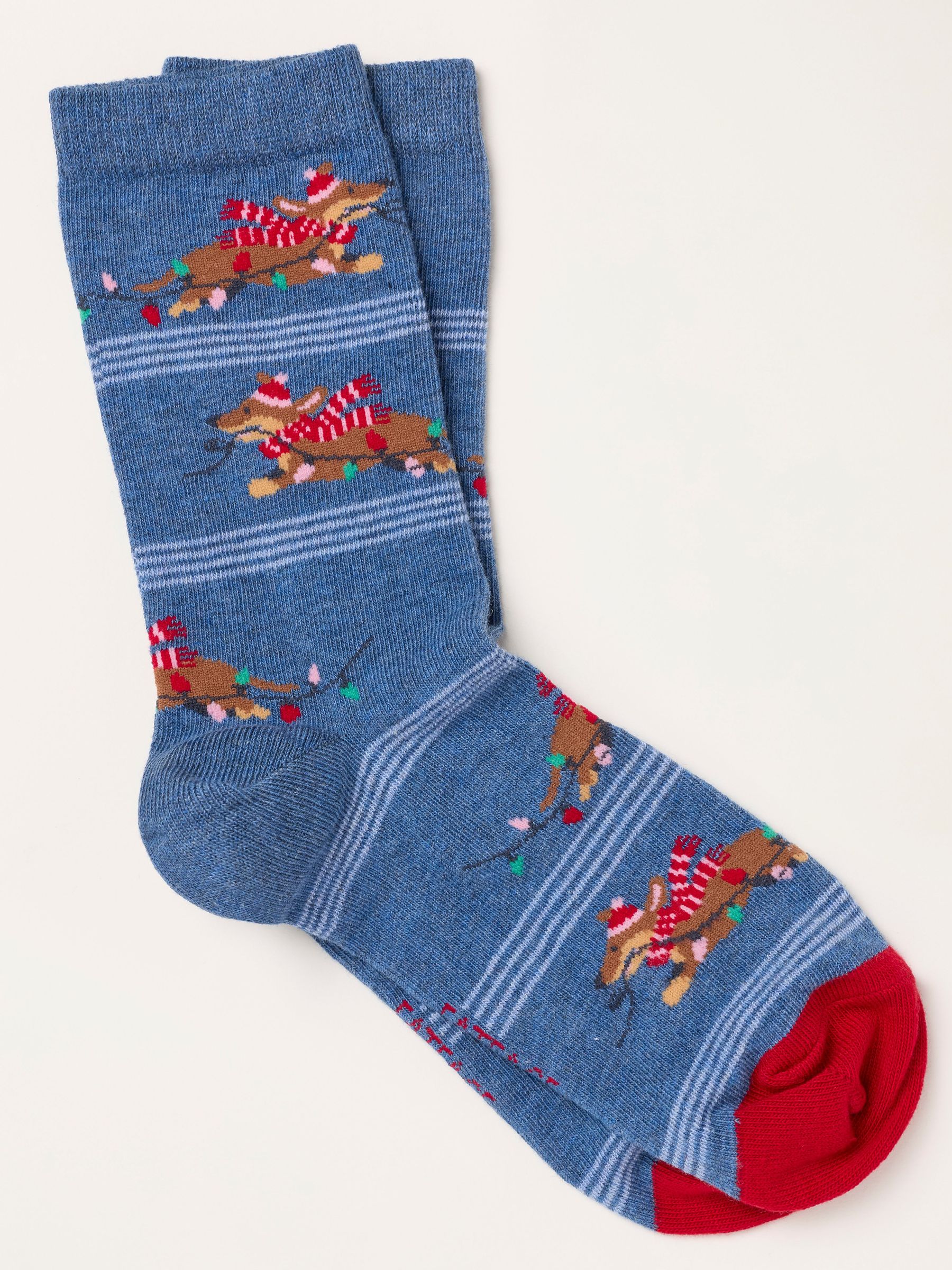 Blue - Christmas Dachshund Socks