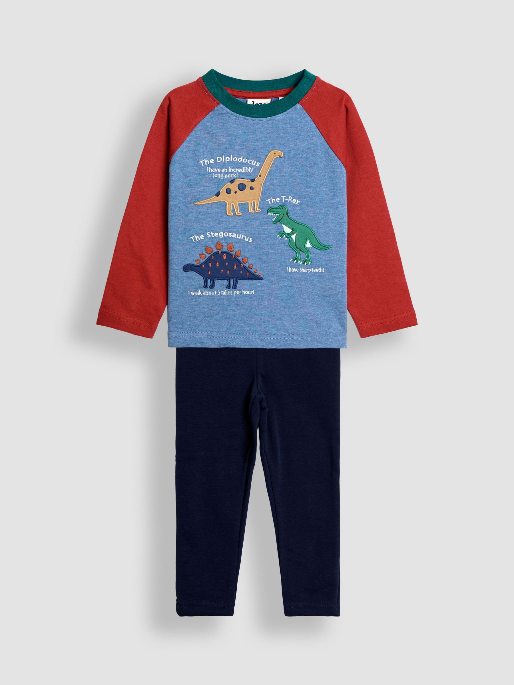 Blue 2-Piece Appliqué Top & Leggings Set (W31511) | $41 - $45