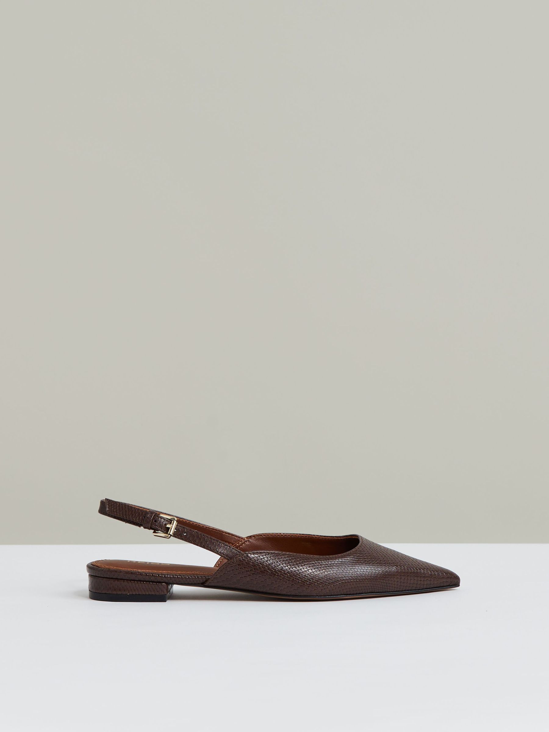 Leather Slingback Ballerina Pumps in Chocolate (W31576) | $275