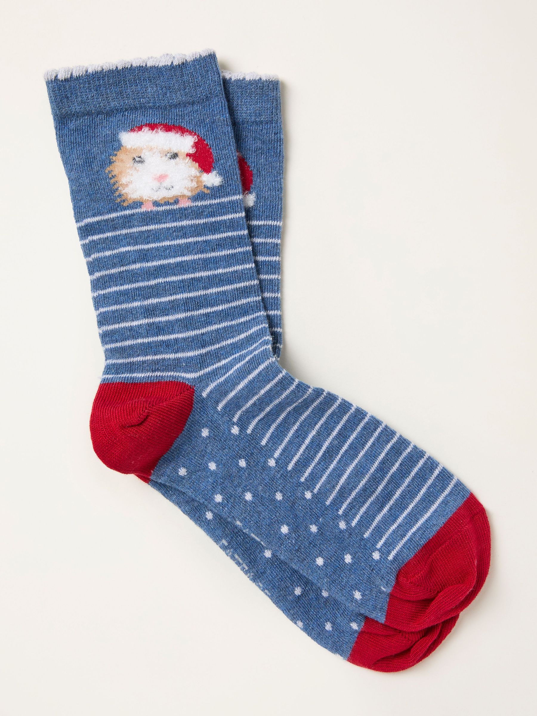 Navy Guinea Pig Socks (W32038) | $12