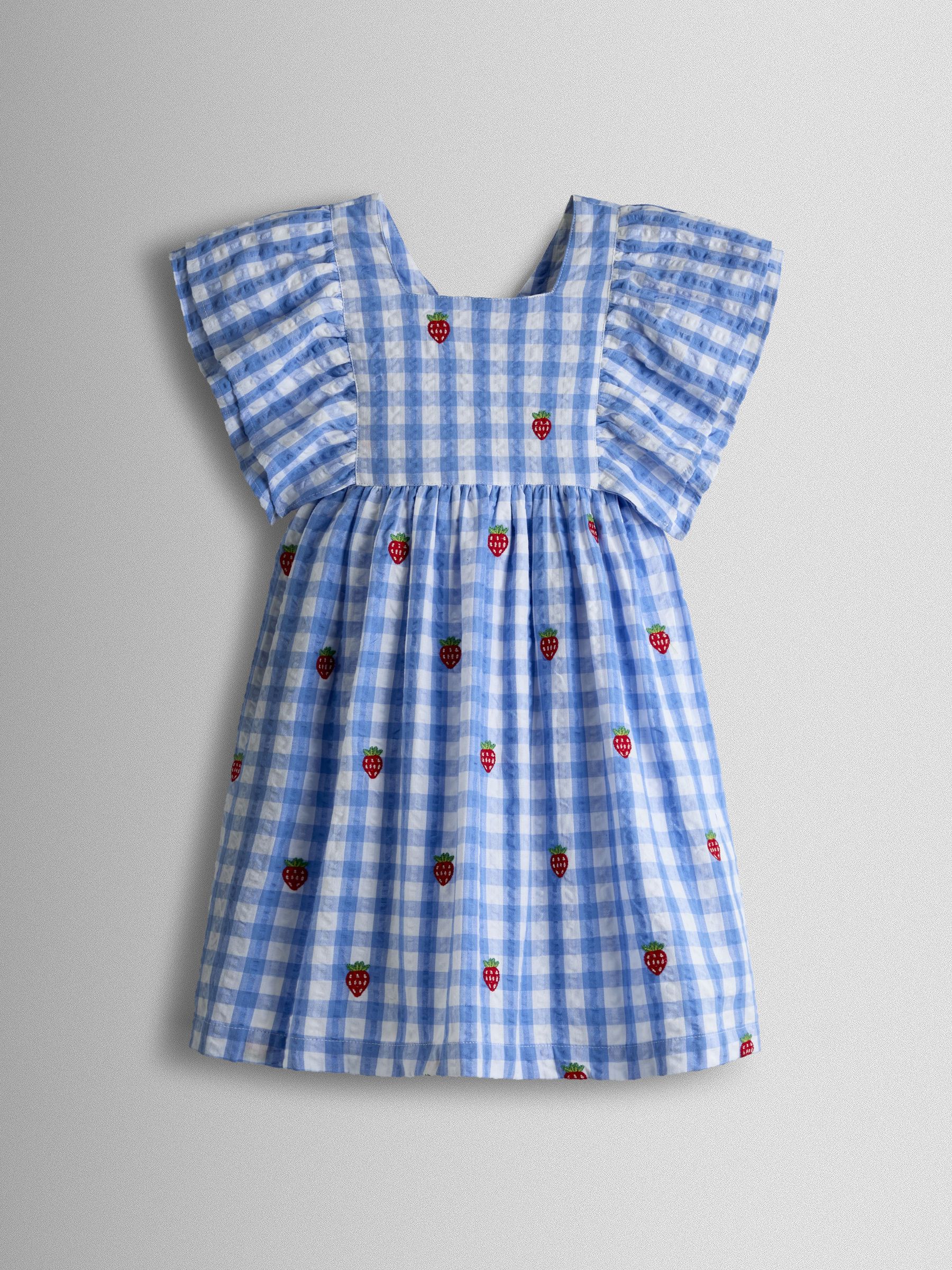 Blue Gingham Strawberry Frill Square Neck Gingham Dress (Y13994) | $43 - $48