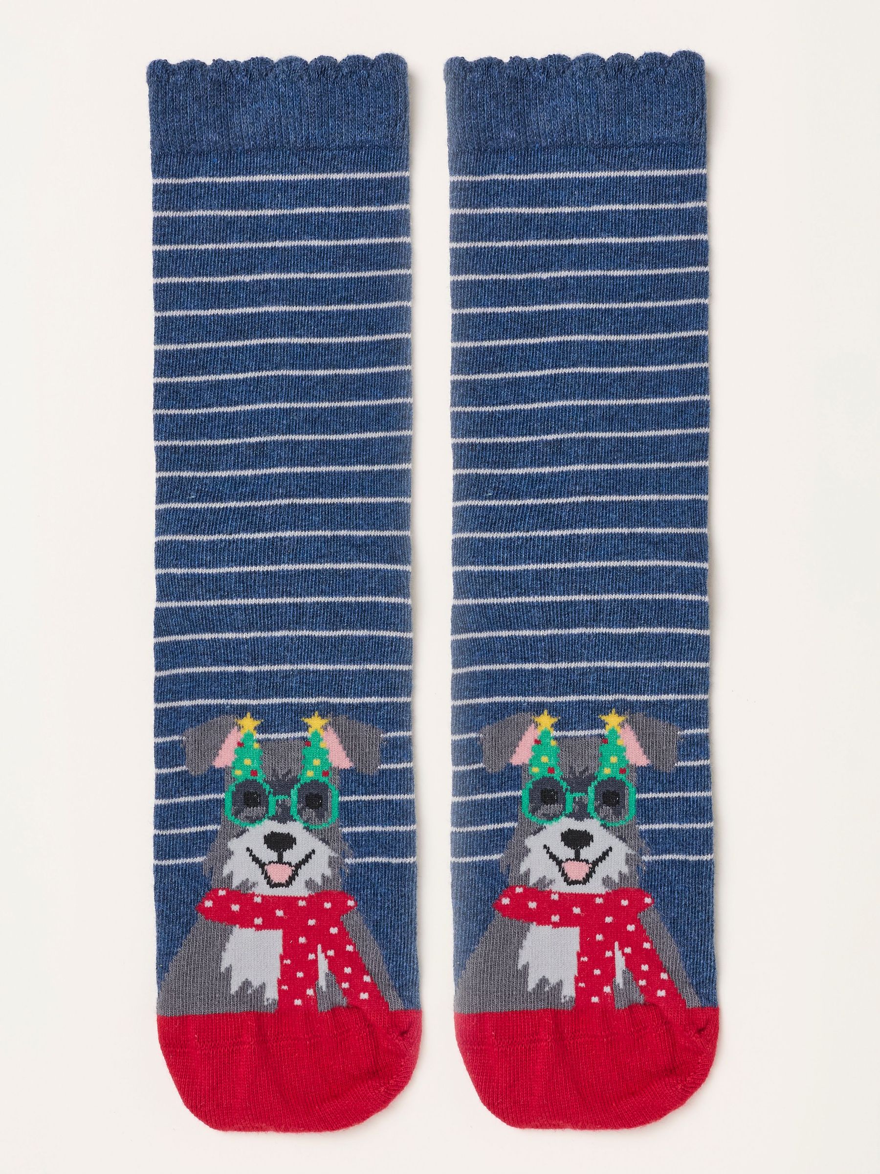 Navy - Dog Toe Socks