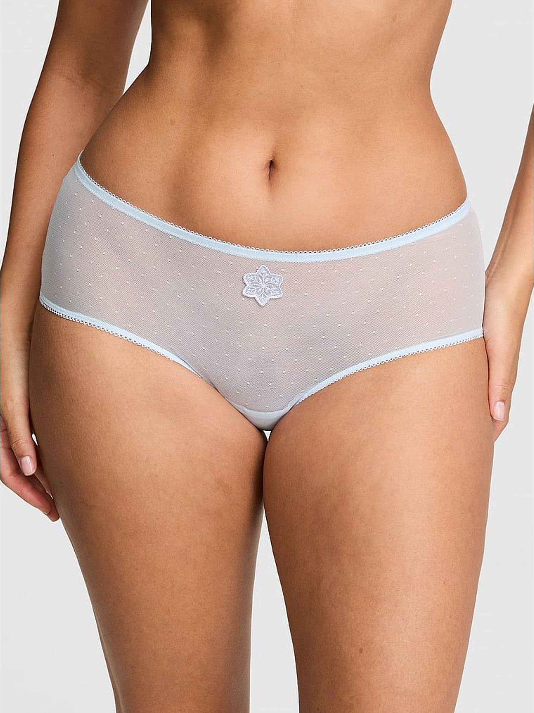 Light Blue - Bikini Snowflake Embroidery Knickers