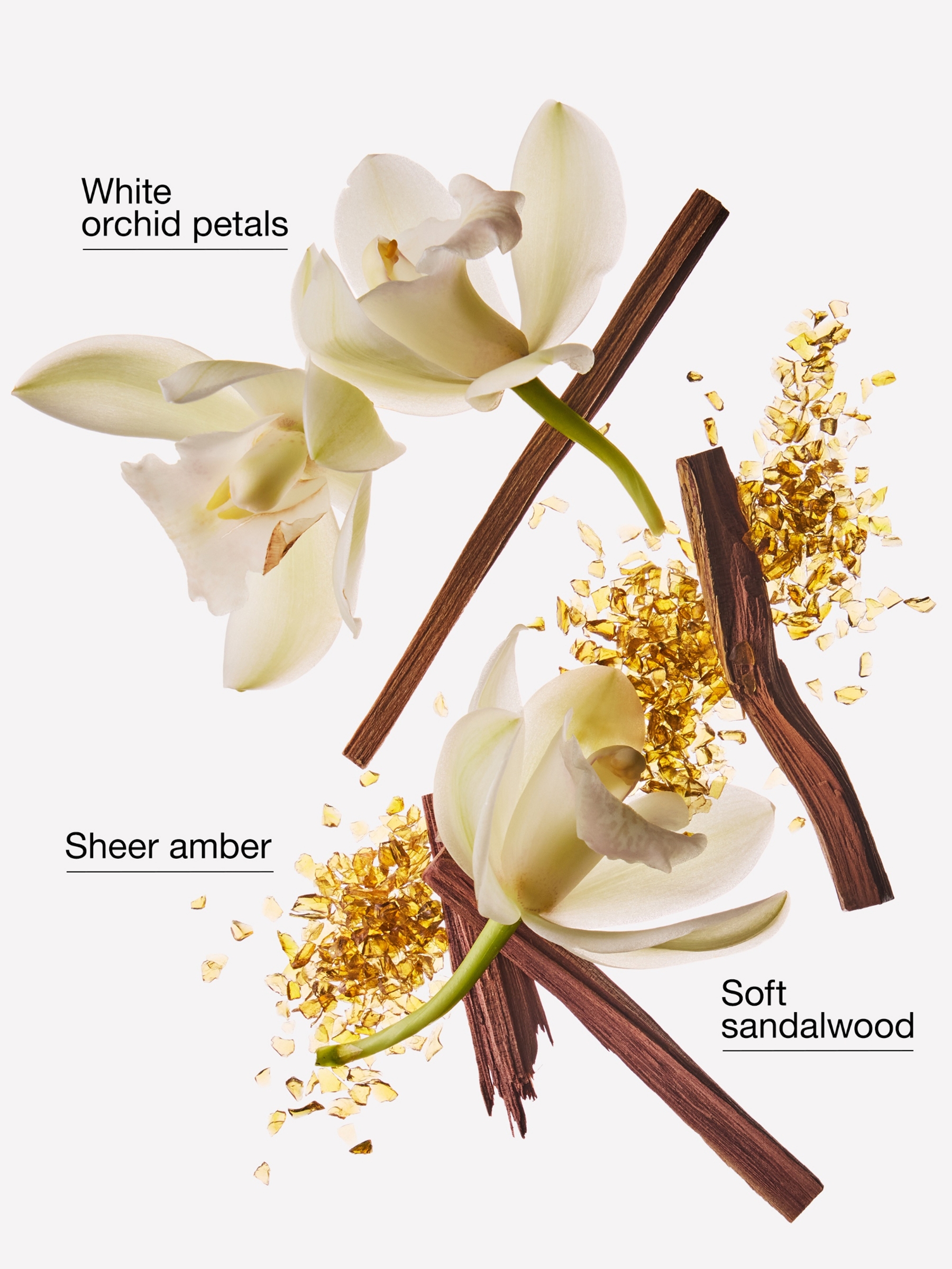 Dreamy Amber Wallflowers Fragrance Refill 24 ml - Image 3 of 4