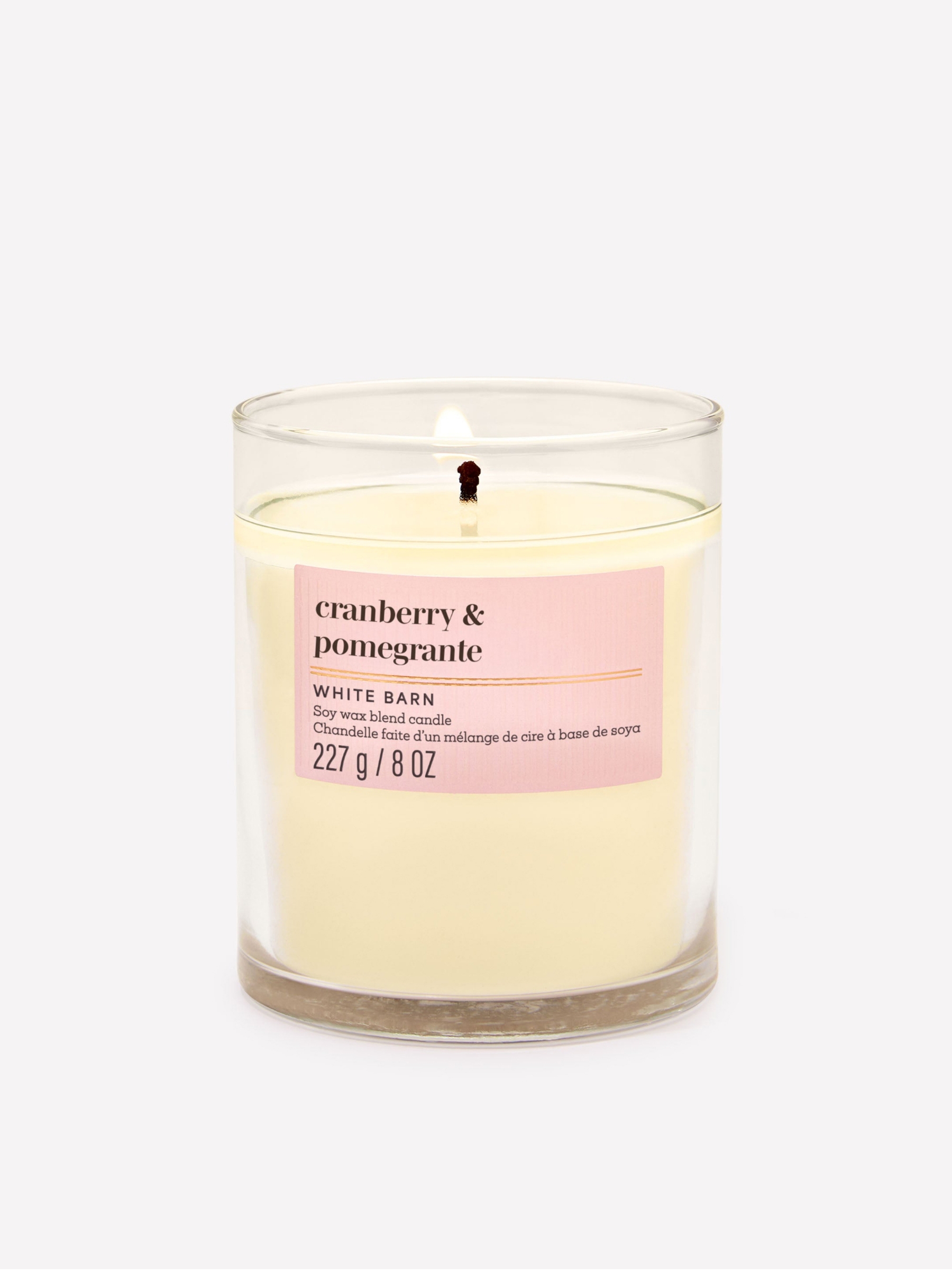 Cranberry & Pomegranate Single Wick Candle 100g - Image 1 of 2 Cranberry & Pomegranate Single Wick Candle 100g - Image 1 of 2