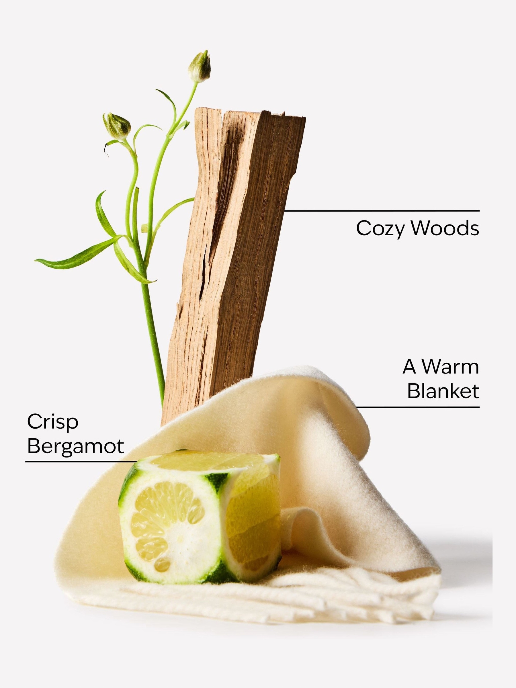 Book Loft Single Wick Candle 100g - Image 2 of 2 Book Loft Single Wick Candle 100g - Image 2 of 2