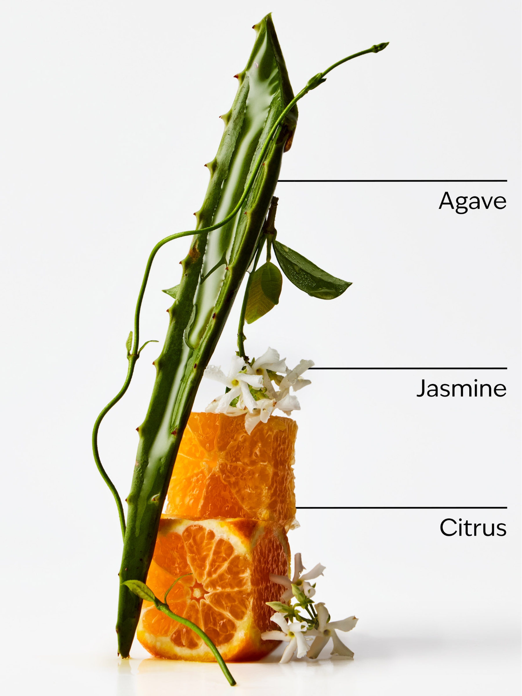 Sweet Orange & Agave Wallflowers Fragrance Refill 24ml - Image 2 of 2