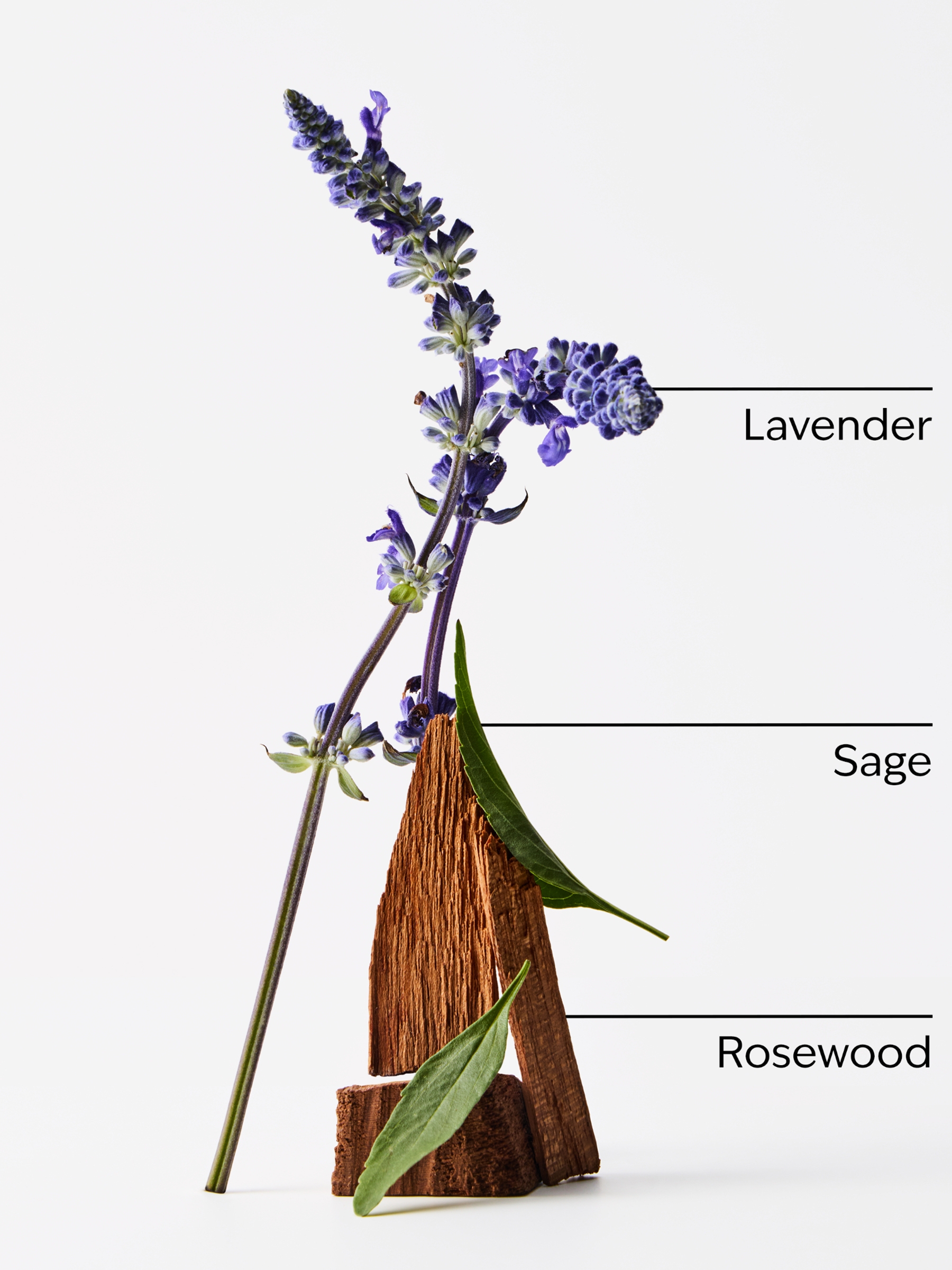 Lavender & Jasmine Wallflowers Fragrance Refill 24ml - Image 2 of 2