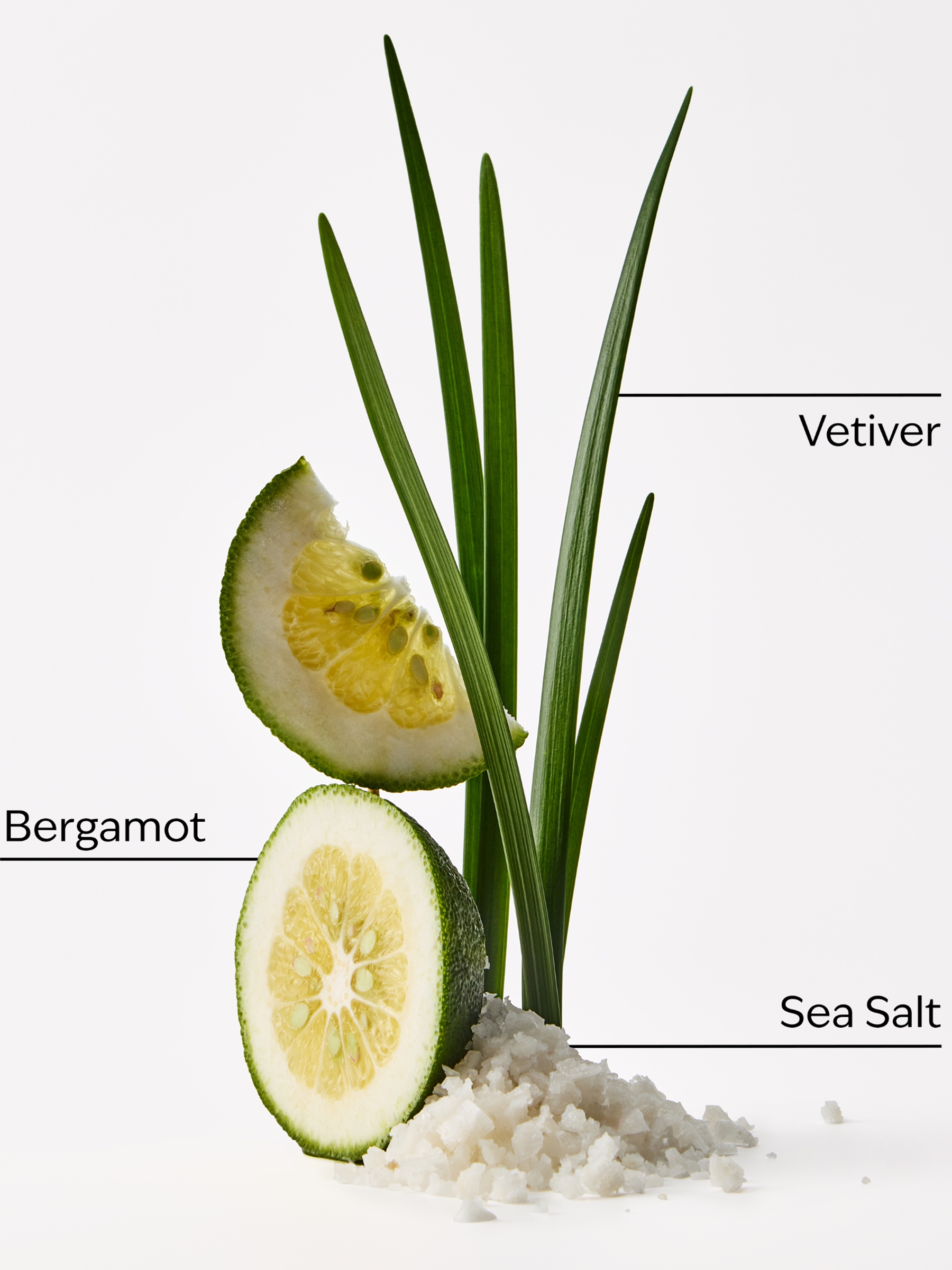 Sea Salt & Musk Wallflowers Fragrance Refill 24ml - Image 2 of 2