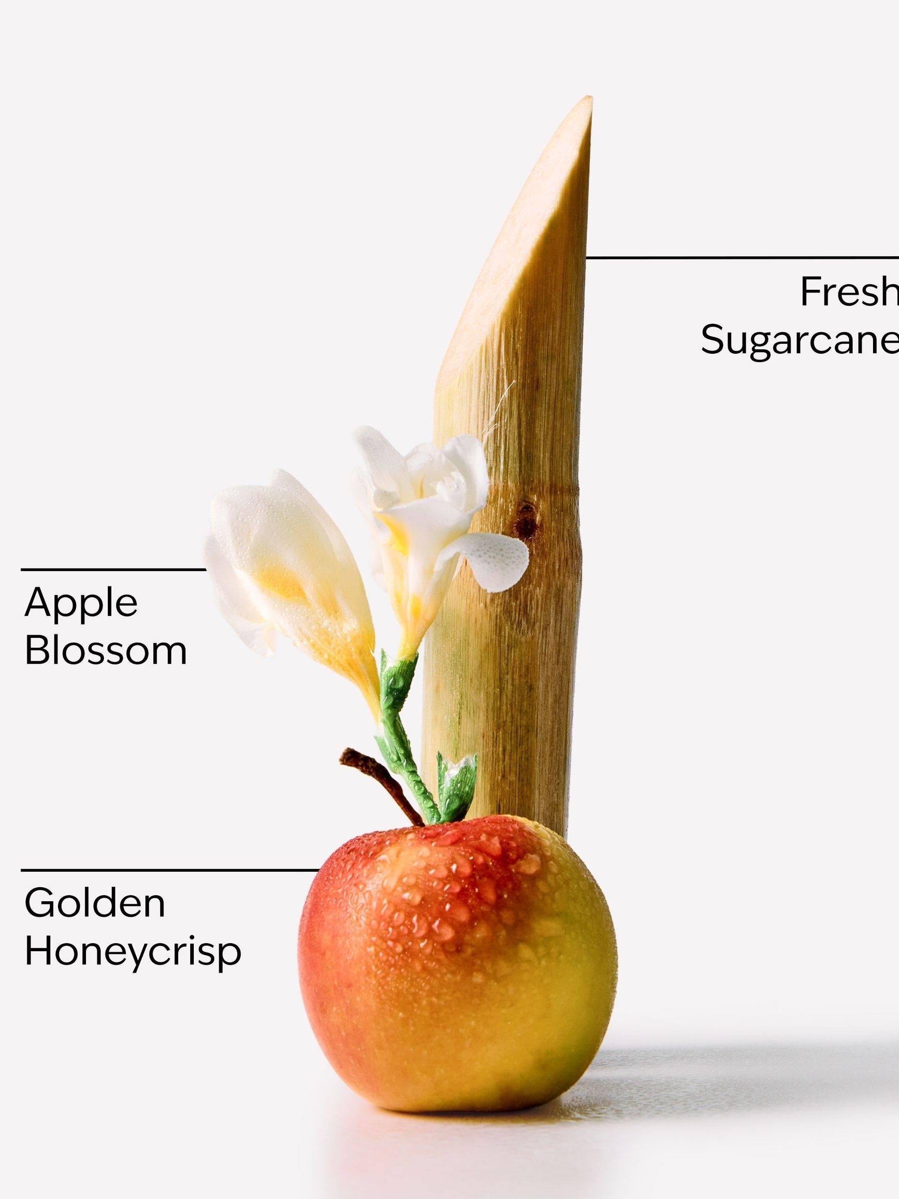 Honeycrisp Apple 3-Wick Candle - Image 3 of 5