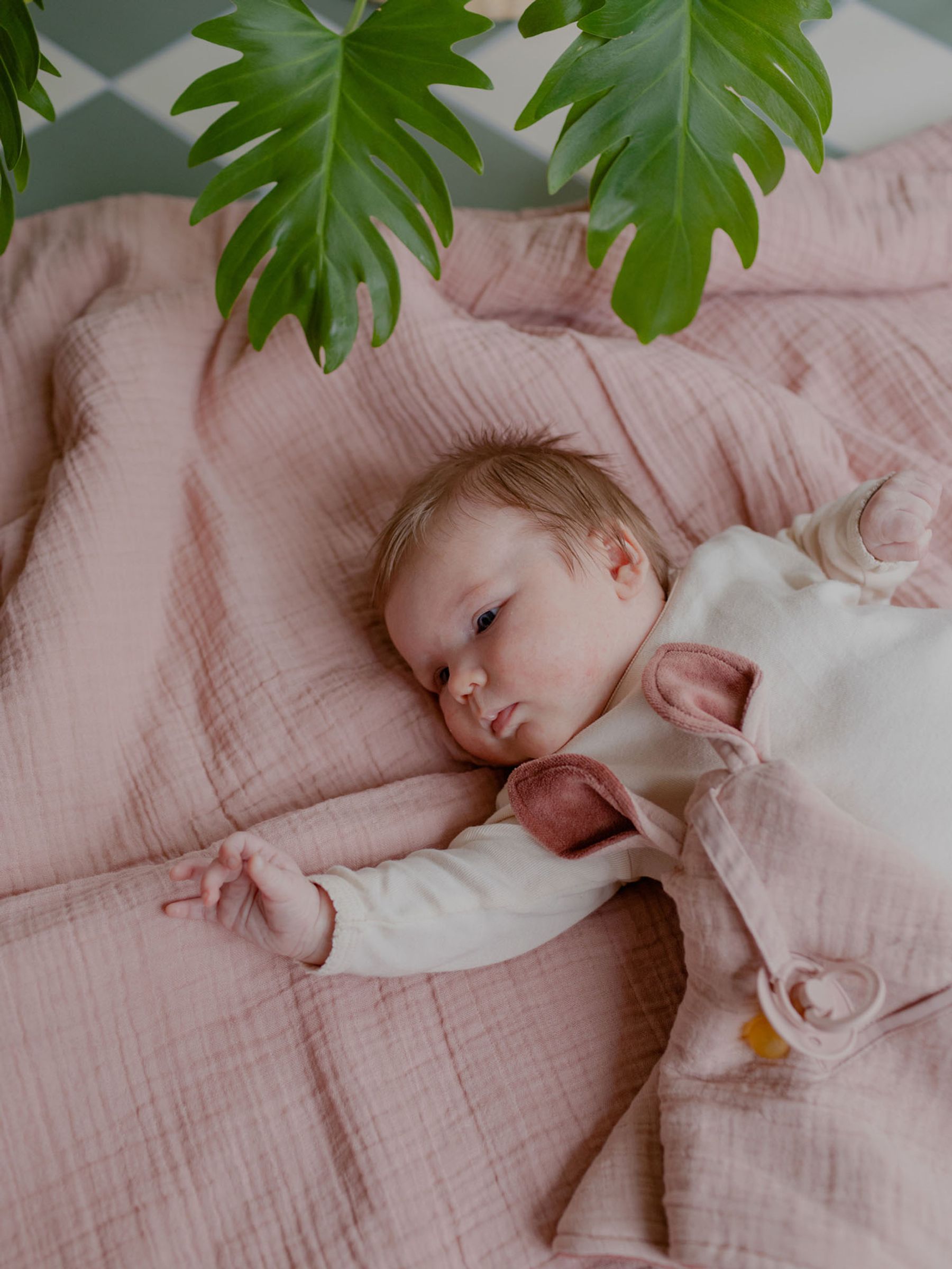 Pink BIBS Blush Cuddle Cloth Kangaroo - Image 2 of 3