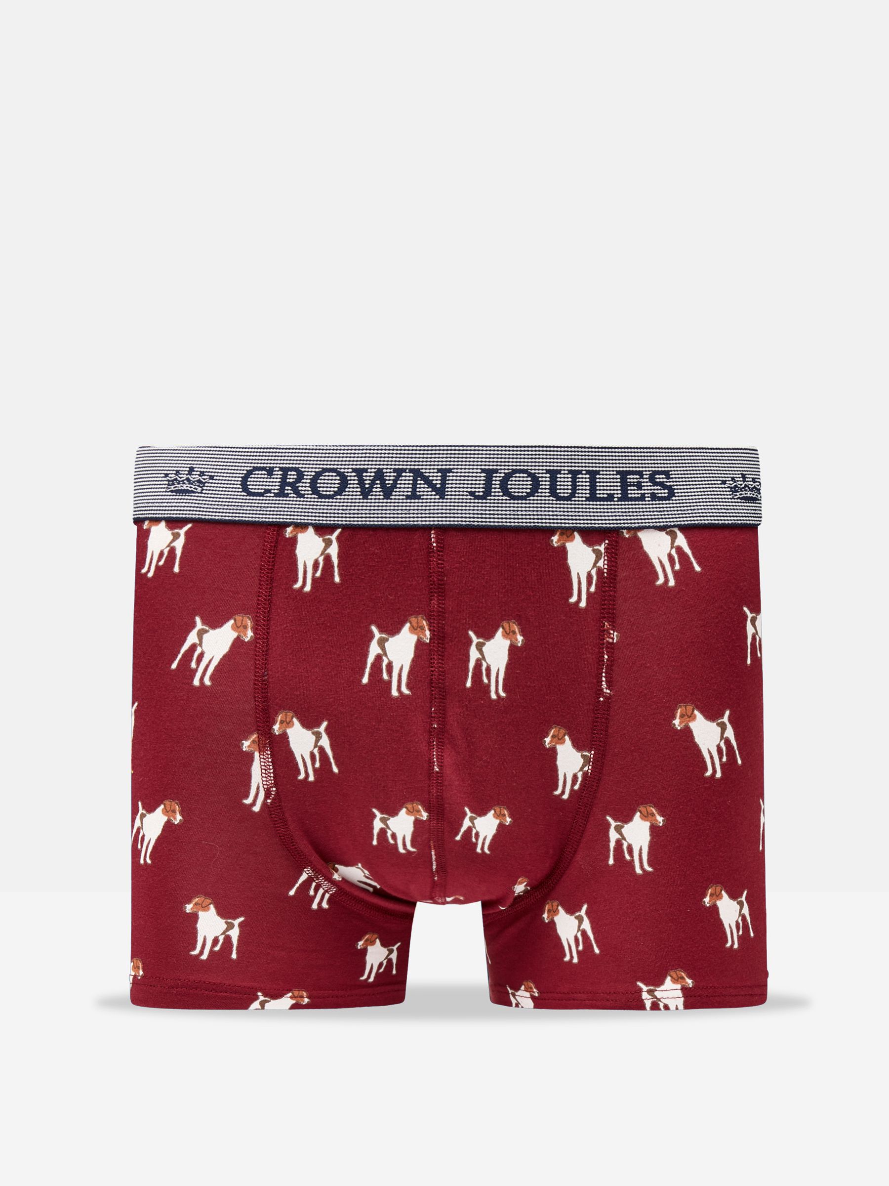 Crown Joules On All Fours Cotton Boxer Briefs (2 Pack) - Image 3 of 4