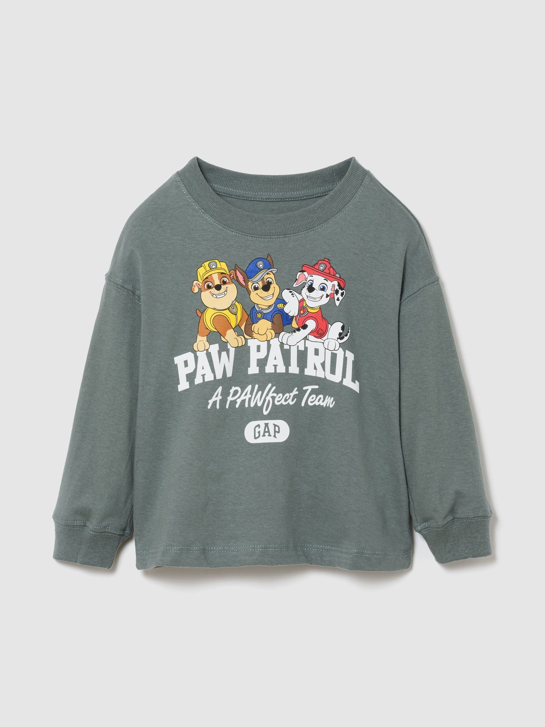 Grey Paw Patrol Logo Long Sleeve T-Shirt - Image 1 of 3