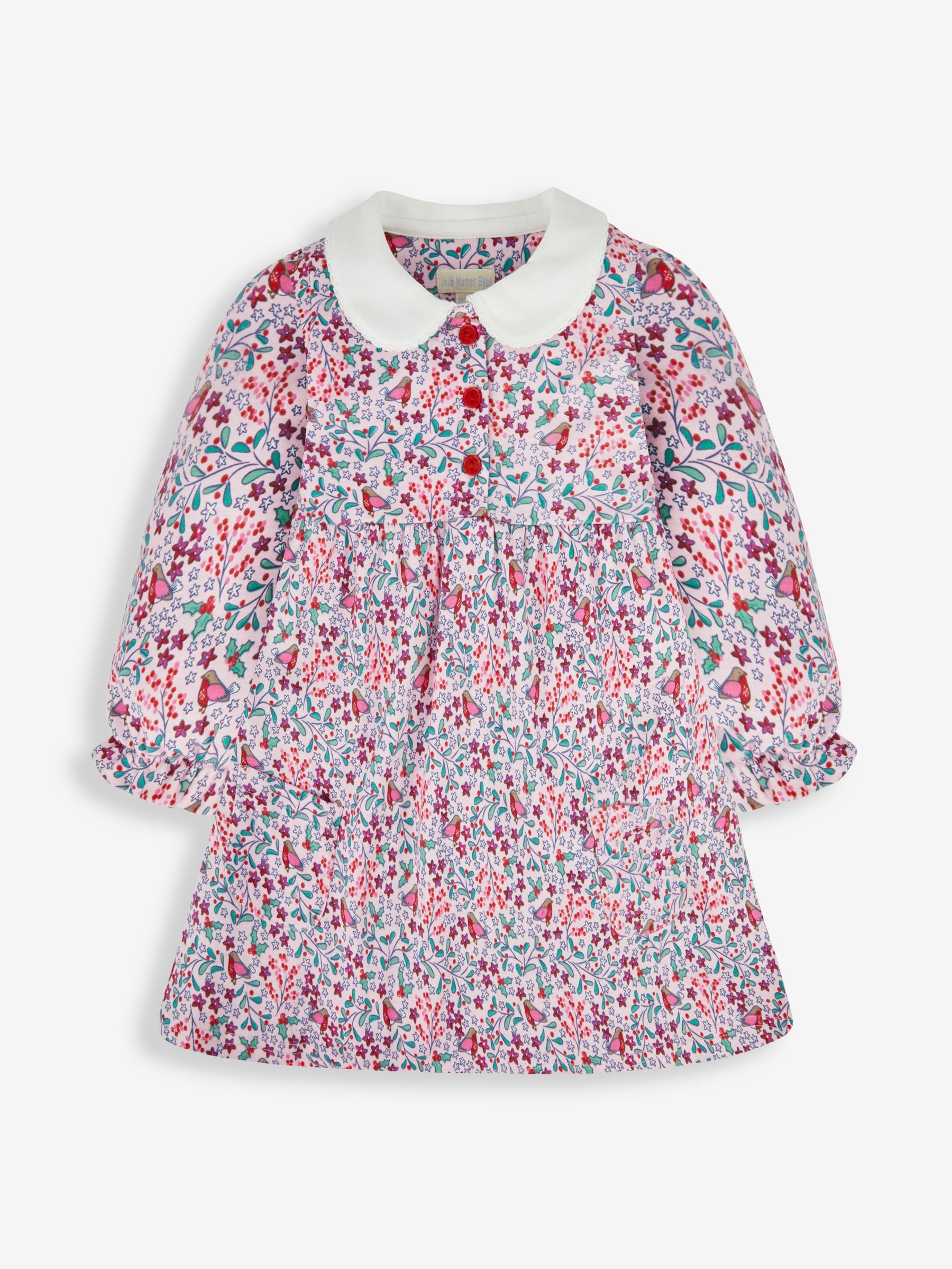 Pink Girls' Pretty Robin Peter Pan Dress - Image 1 of 4