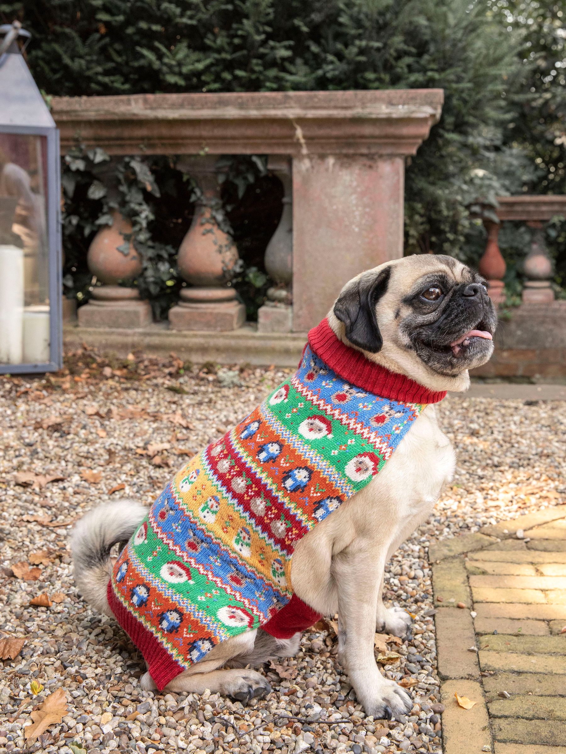Multi Christmas Fair Isle Pets Jumper | JoJo Maman Bébé