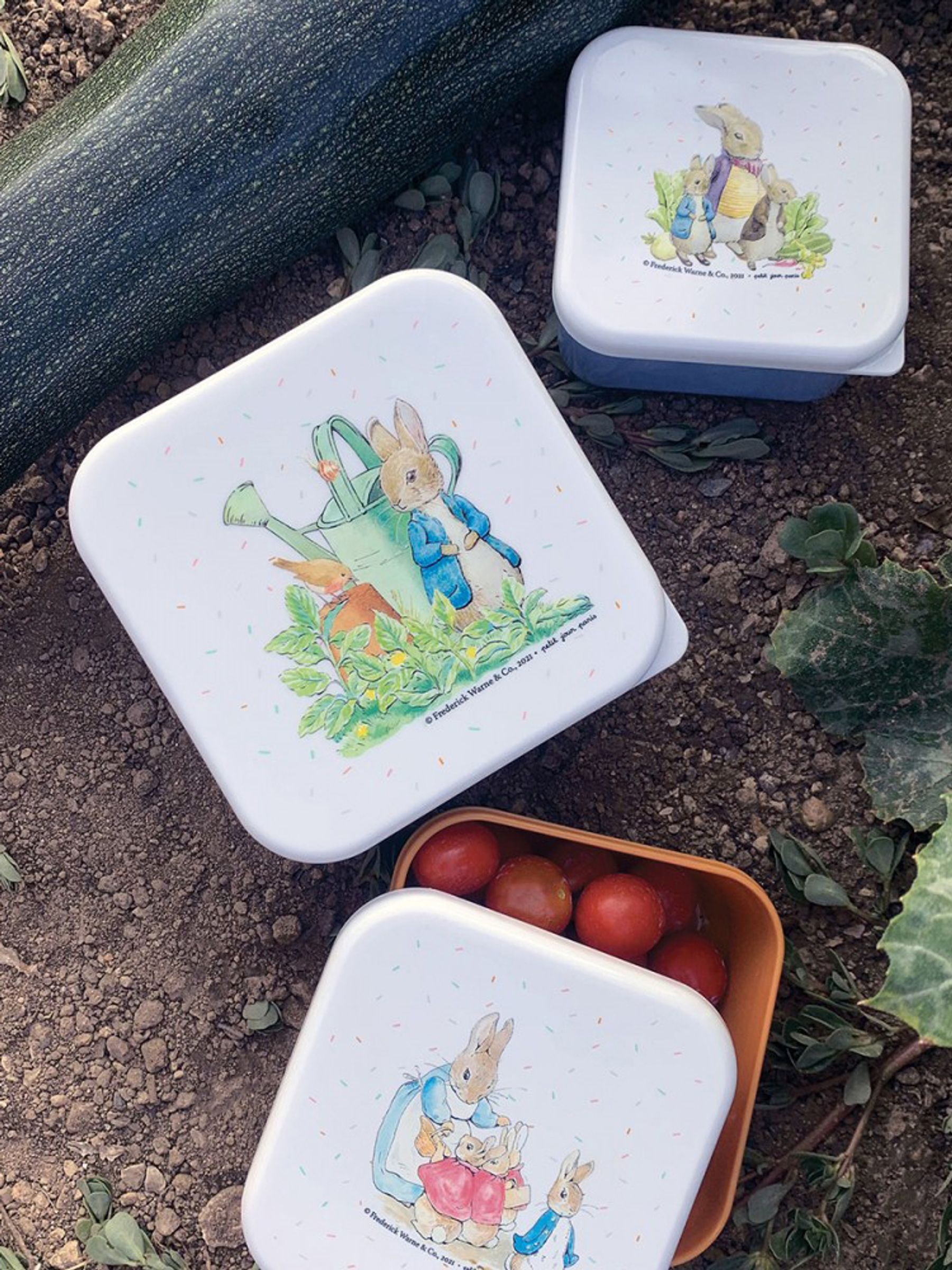 Peter Rabbit Set of 3 Lunch Boxes - Image 2 of 5