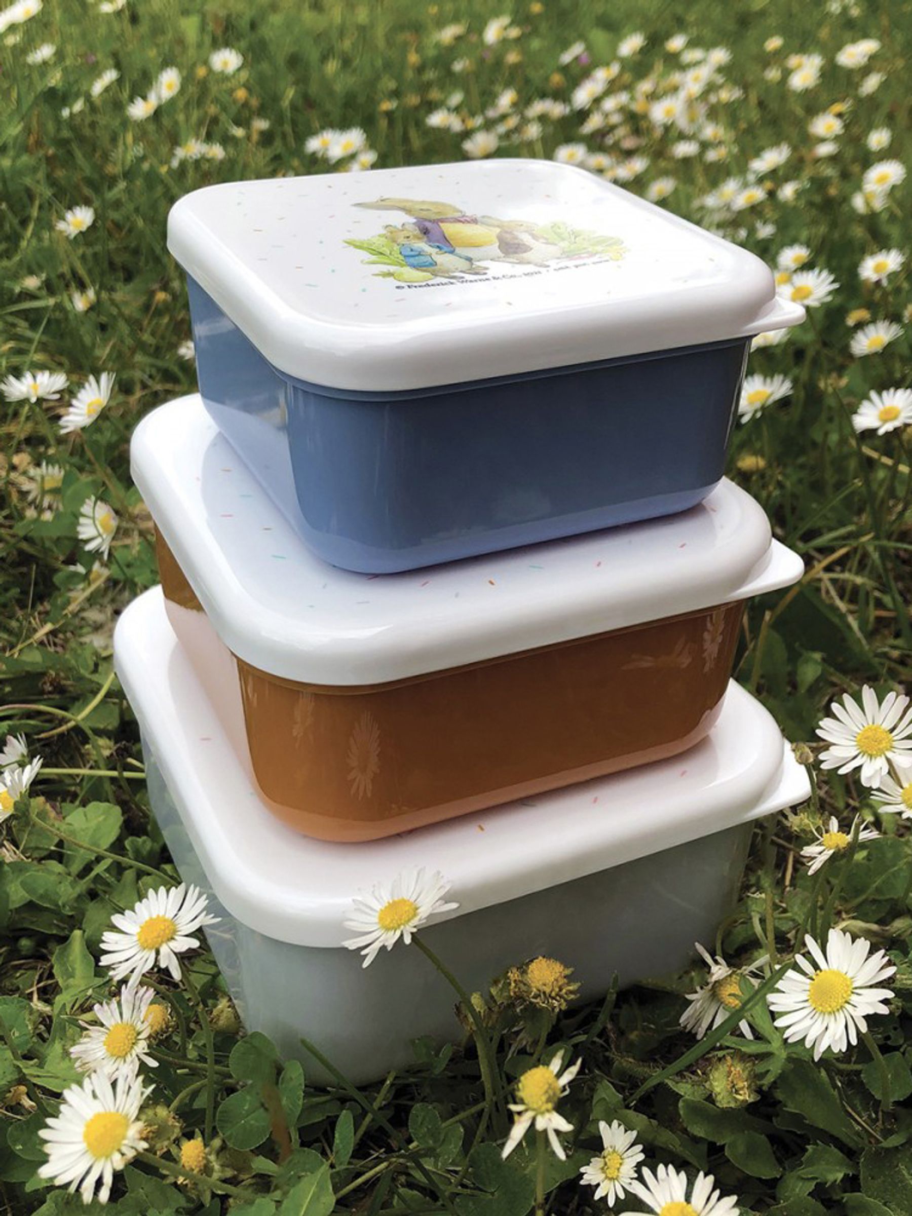 Peter Rabbit Set of 3 Lunch Boxes - Image 3 of 5