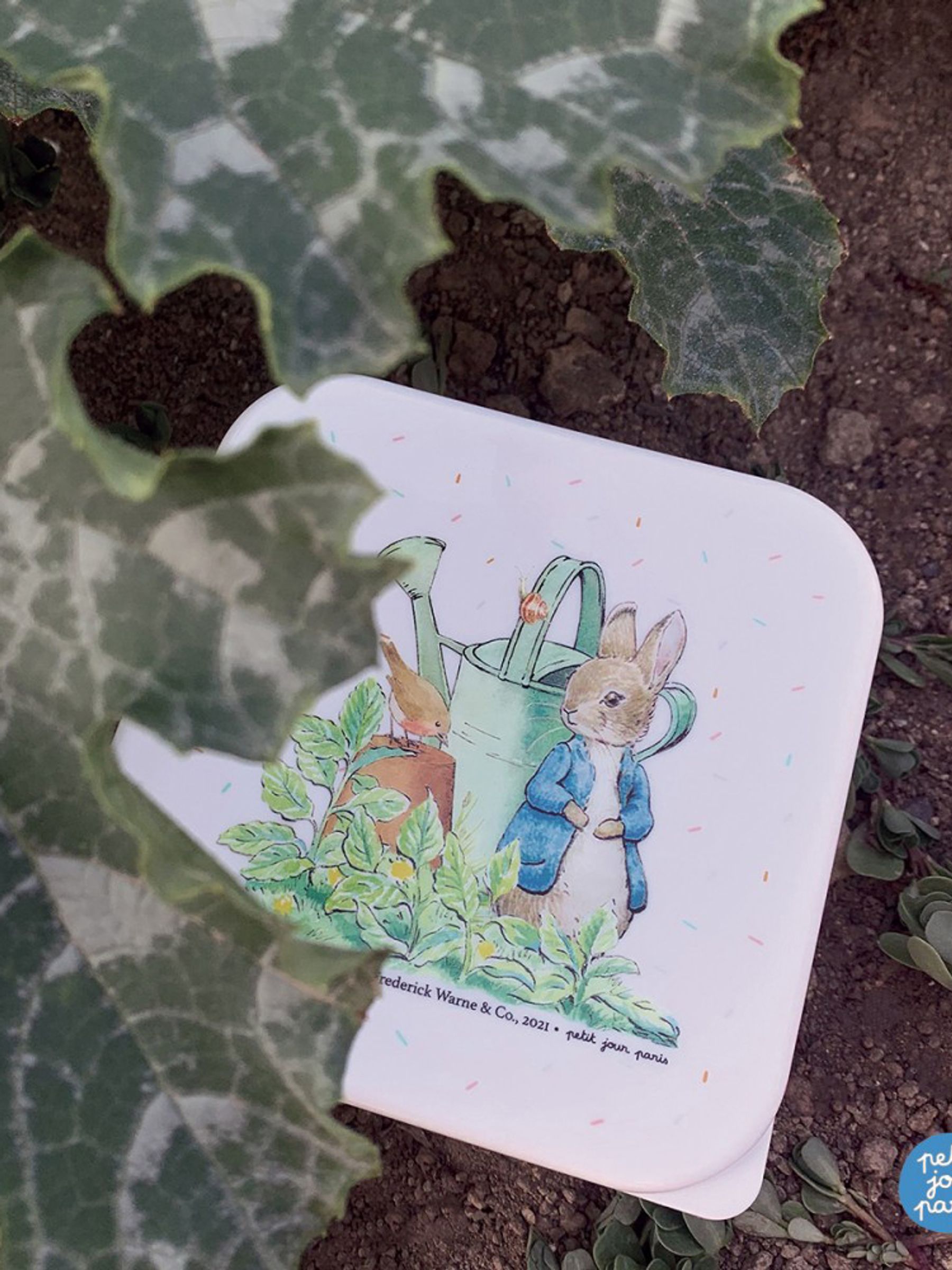 Peter Rabbit Set of 3 Lunch Boxes - Image 5 of 5
