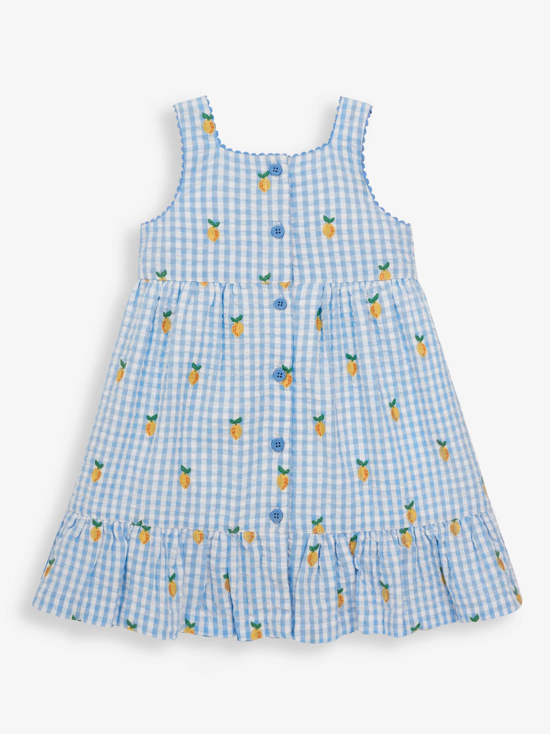 Blue Girls' Lemon Embroidered Gingham Frill Dress - Image 1 of 4