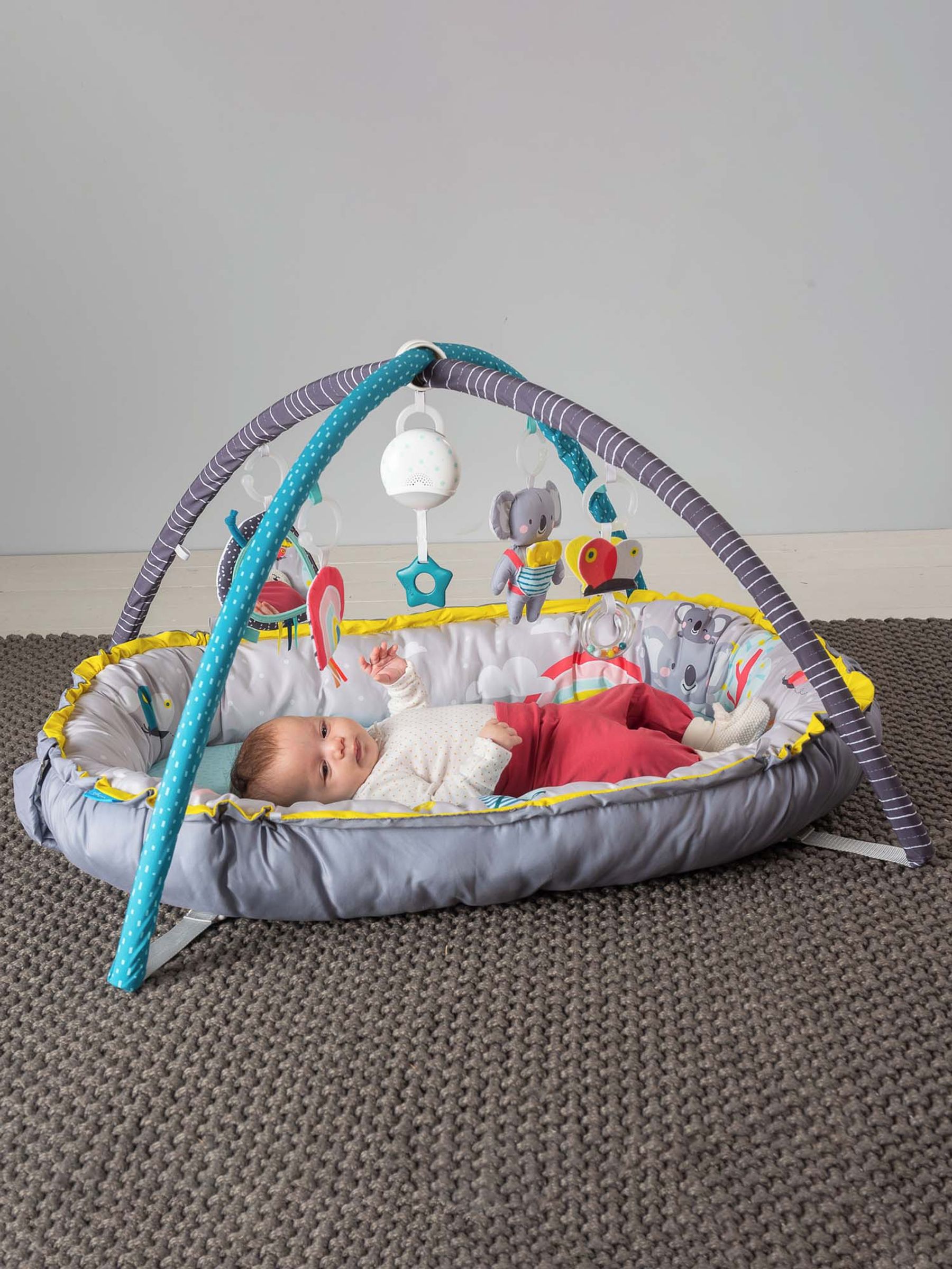 Taf Toys Musical Cosy Gym - Image 5 of 6