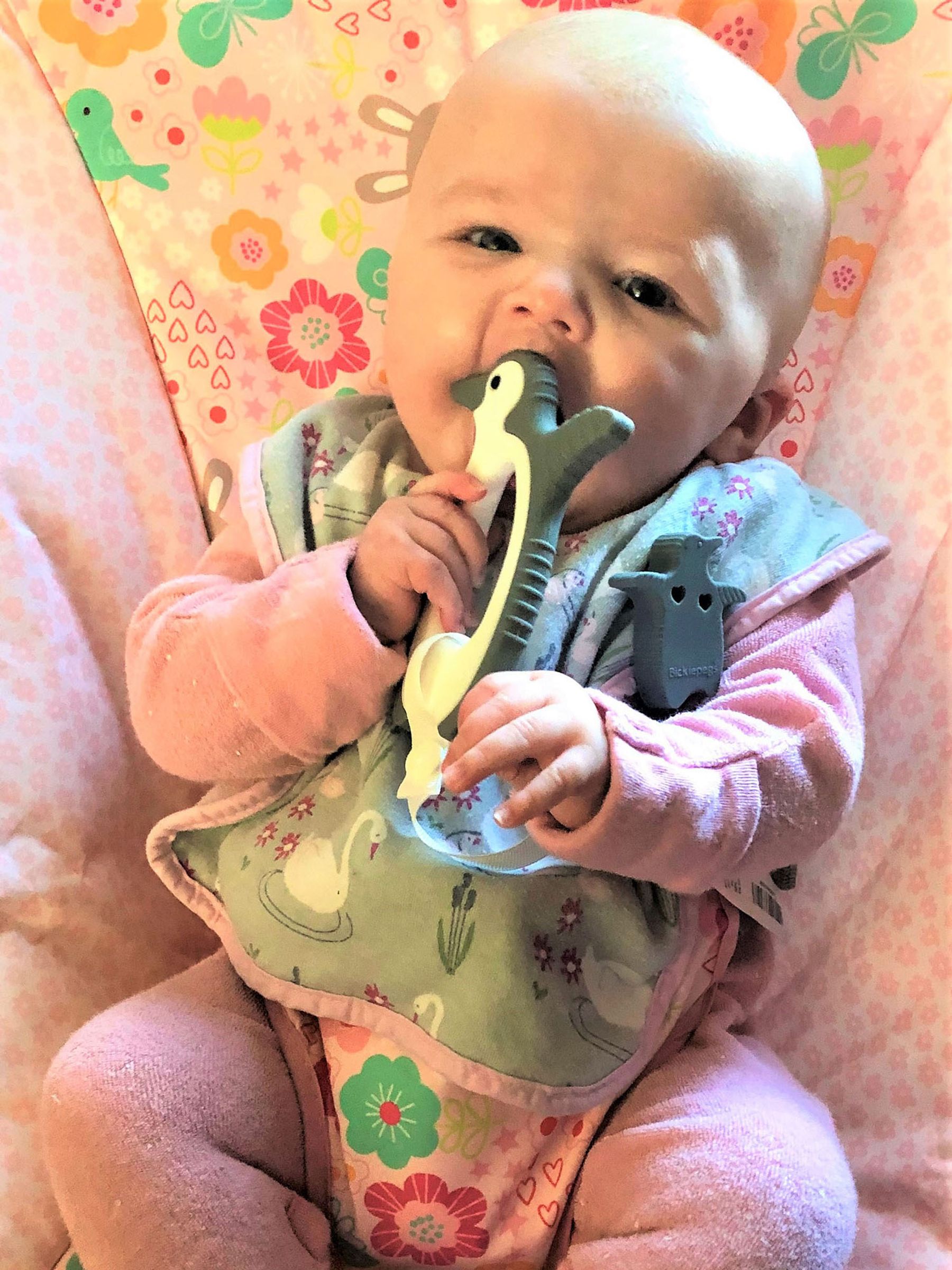 Bickiepegs Peggie the Penguin Sensory Teether - Image 2 of 4