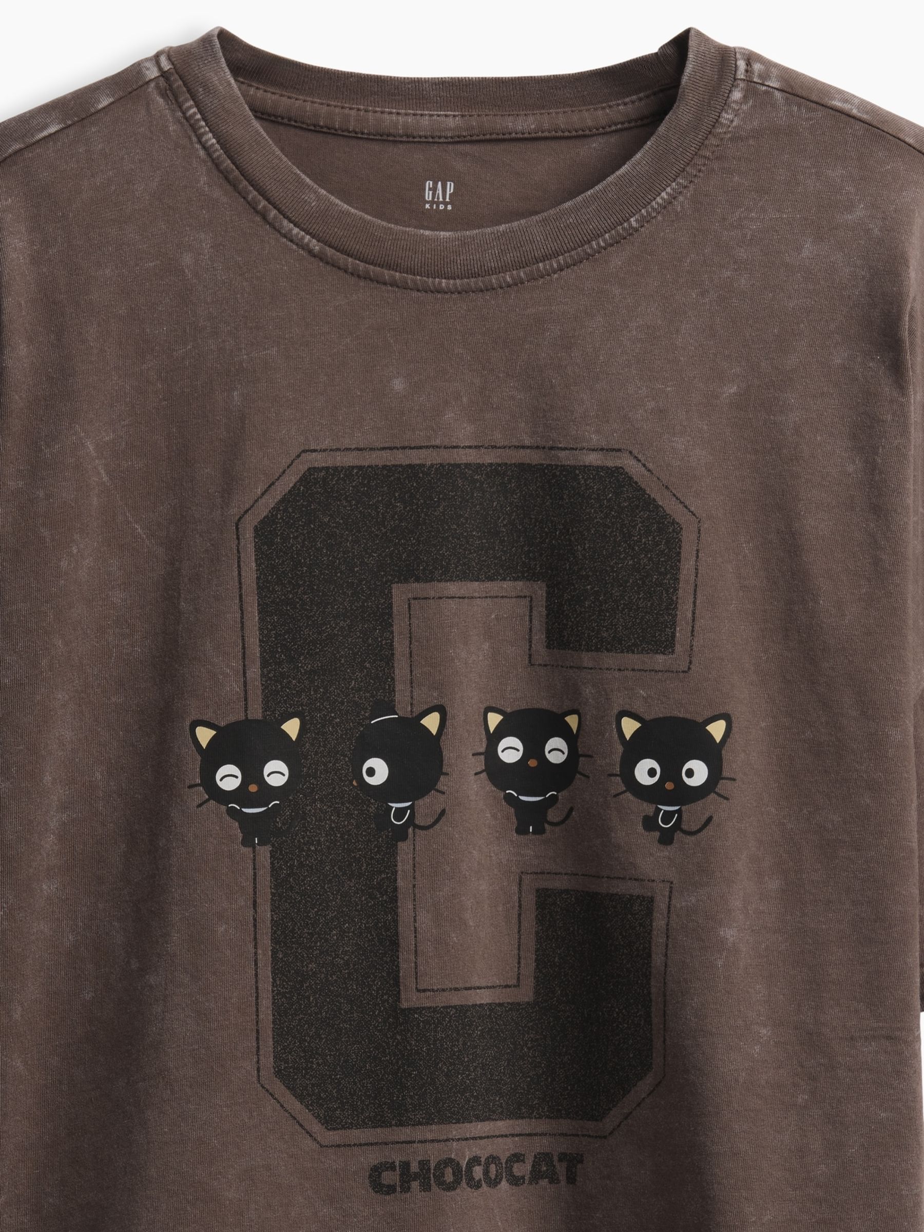 Brown Chococat Oversized Boxy Graphic T-Shirt - Image 5 of 5