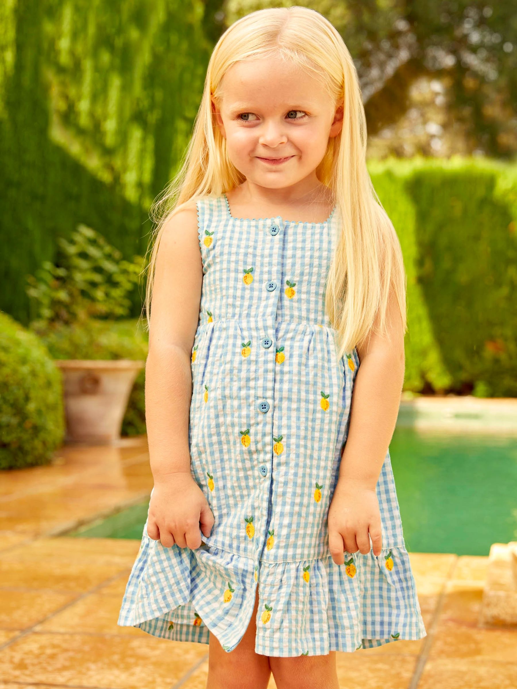 Duck Egg Gingham Lemon Embroidered Frill Dress - Image 1 of 6